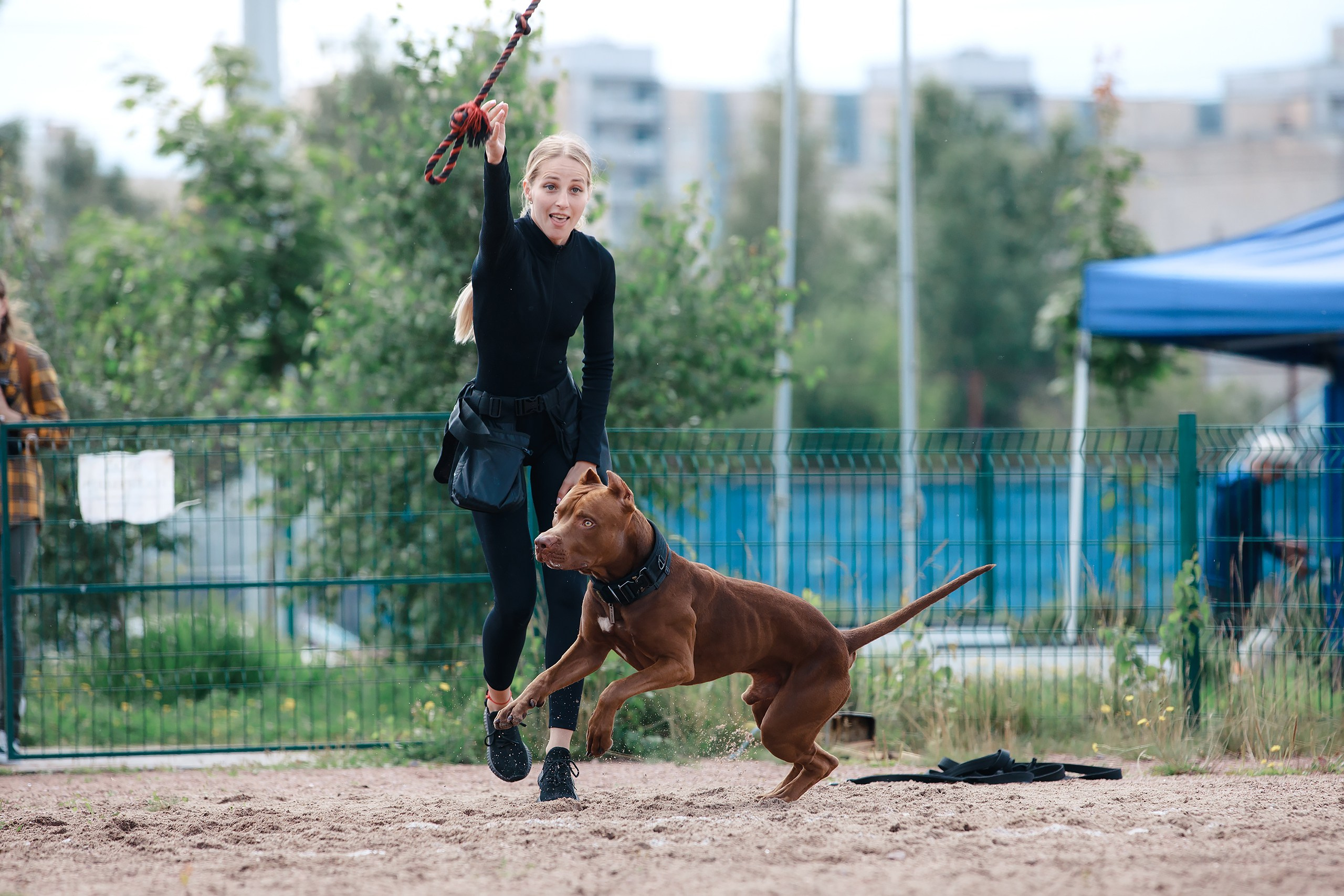 Питч&Гоу + веселые старты. Фотограф-анималист Mary Mart — Москва, Питер