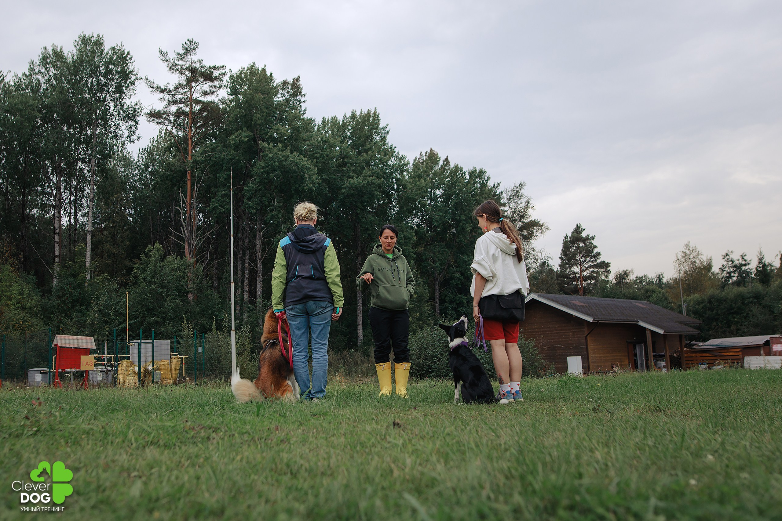Кинологический лагерь CleverDog, 2024. Фотограф-анималист Mary Mart — Москва, Питер