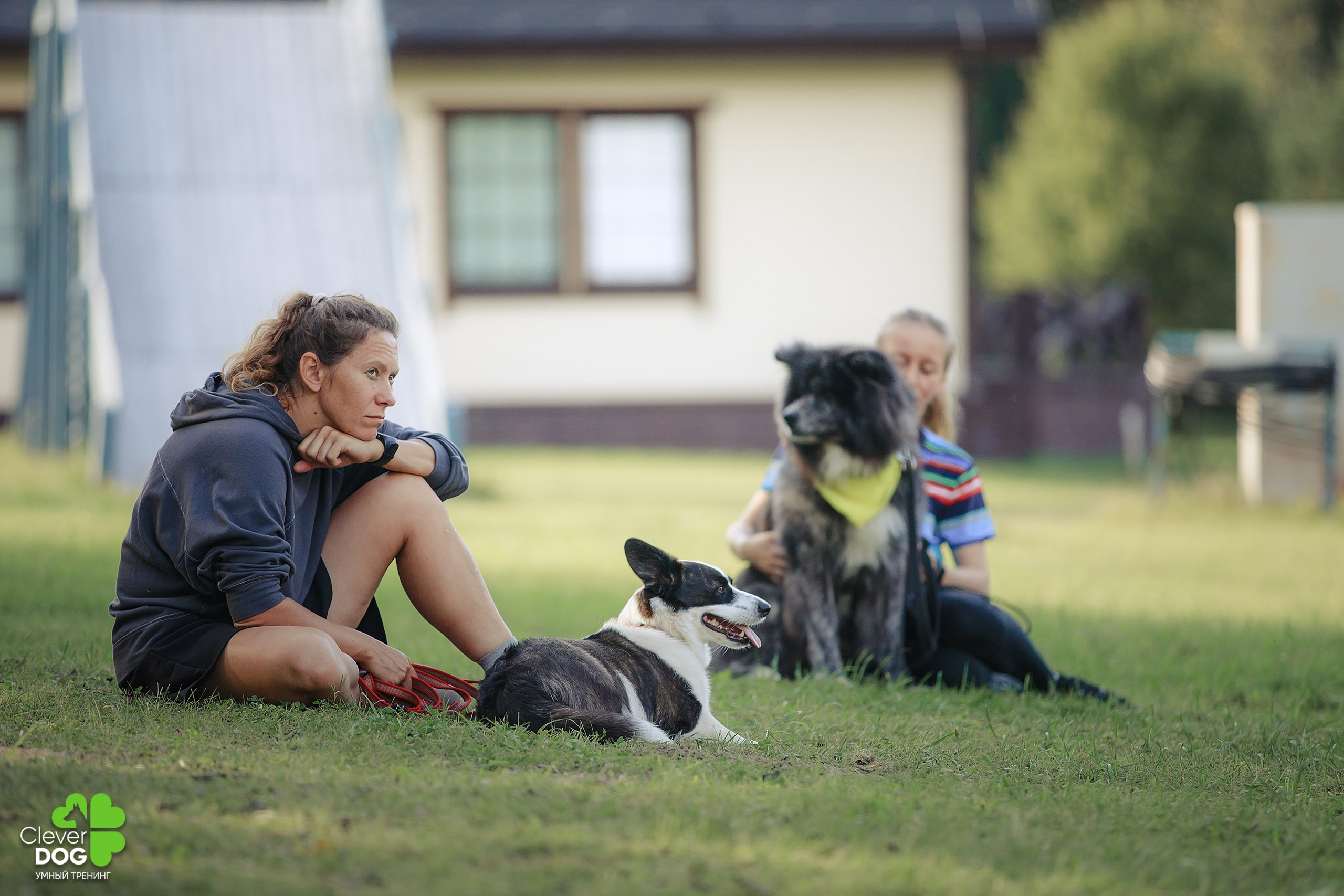 Кинологический лагерь CleverDog, 2024. Фотограф-анималист Mary Mart — Москва, Питер