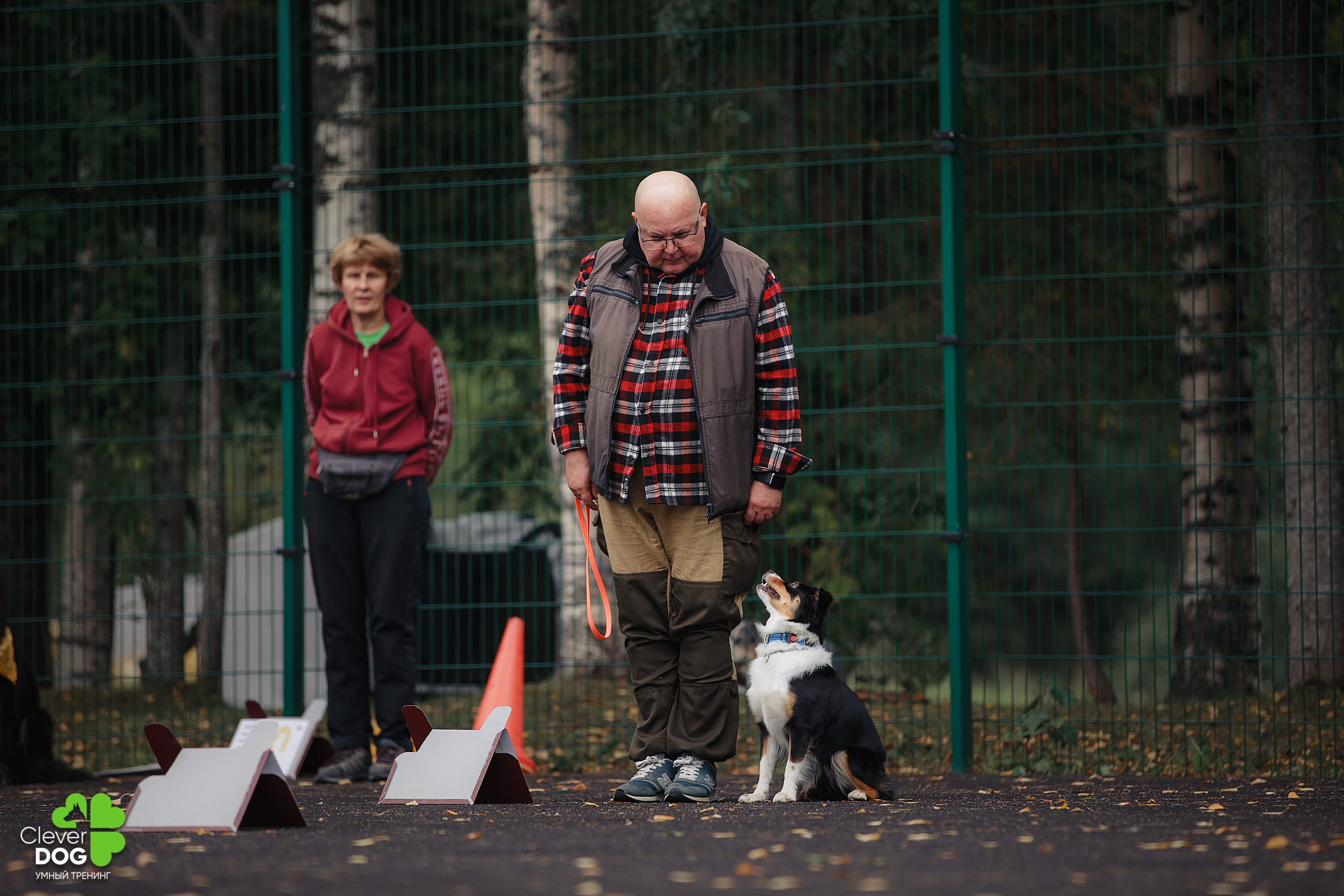 Кинологический лагерь CleverDog, 2024. Фотограф-анималист Mary Mart — Москва, Питер