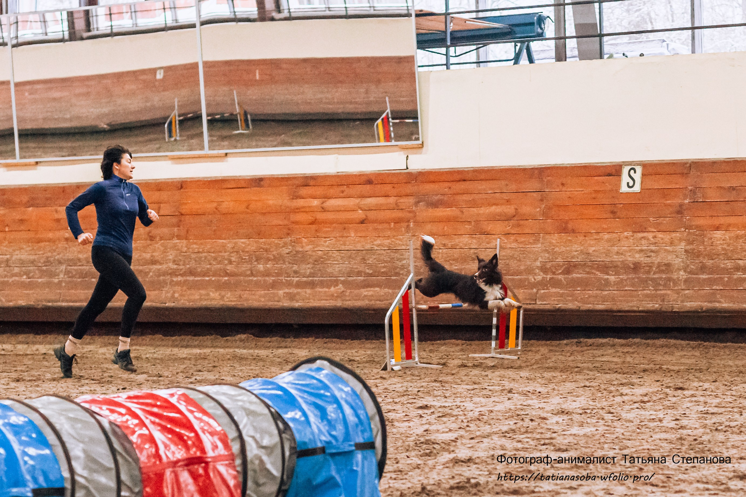 Соревнования по Аджилити 25.02.2024. Фотограф-анималист Татьяна Степанова
