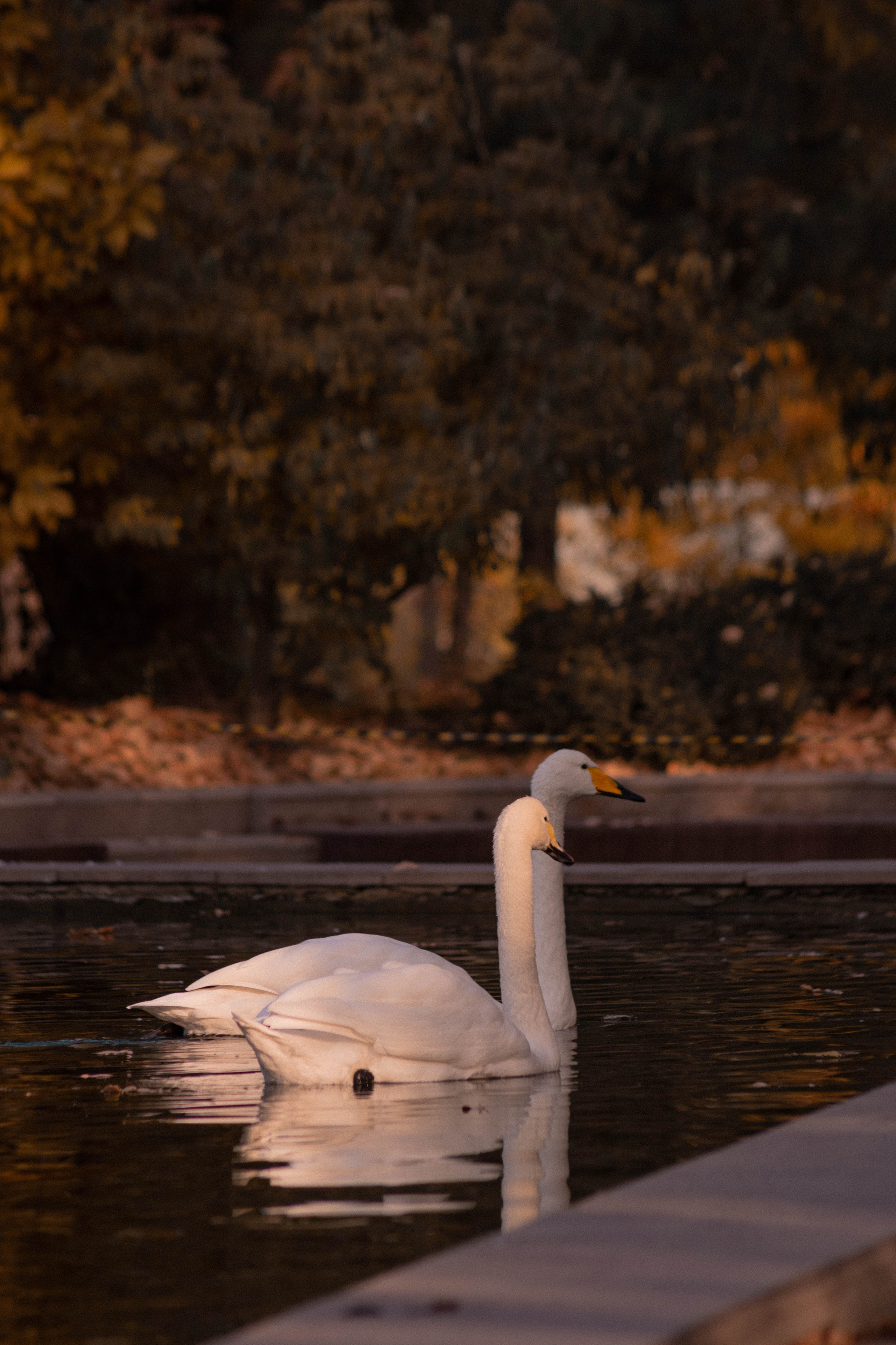Визуальный дневник. Репортажный фотограф в Алматы Цой Сергей