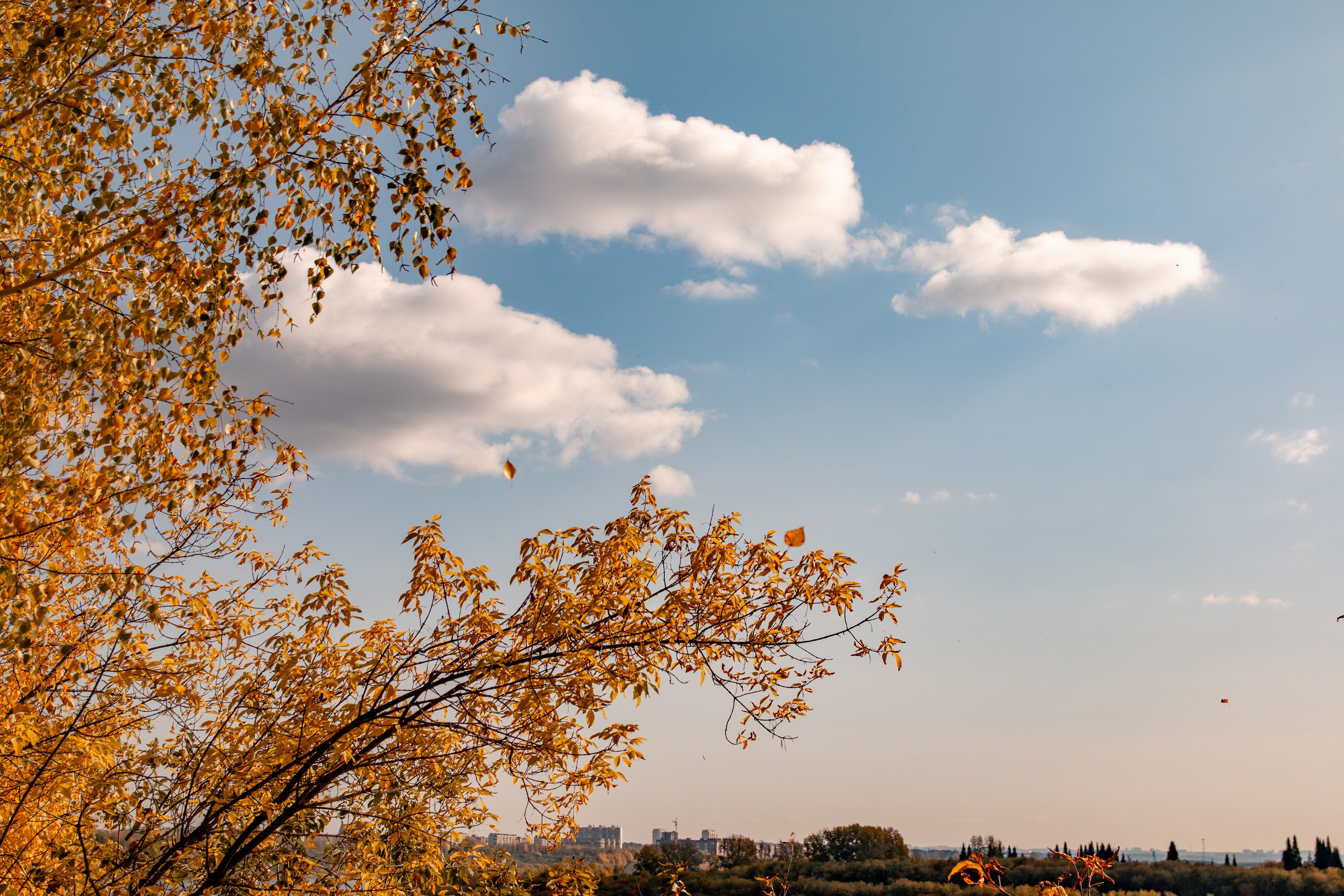 Осень. Ваш фотограф Северск | Томск