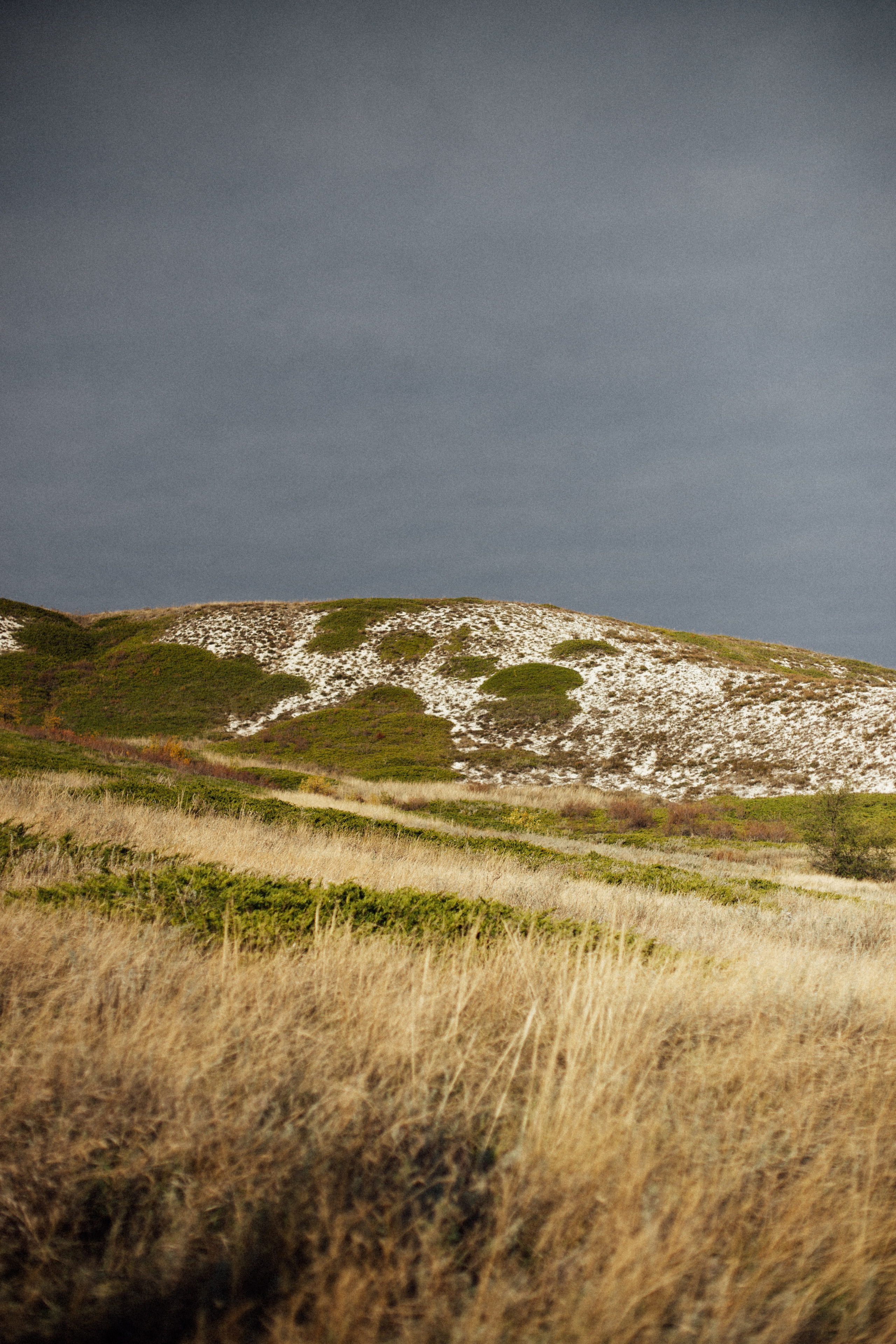 Света + Егор. Андрющенко Мария фотограф Волгоград
