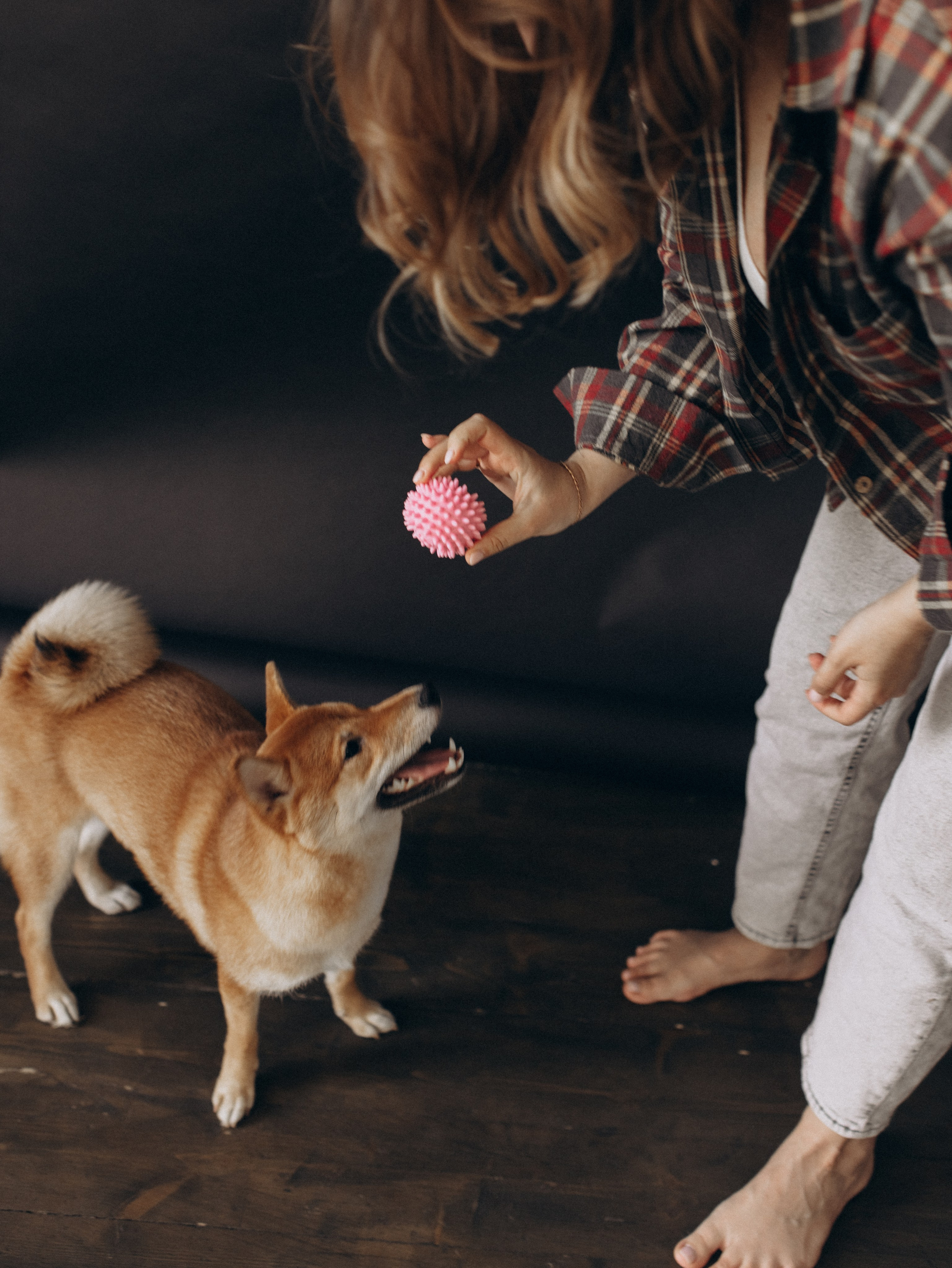 Мика и Настя. Фотограф-анималист в Москве Кириллова Татьяна