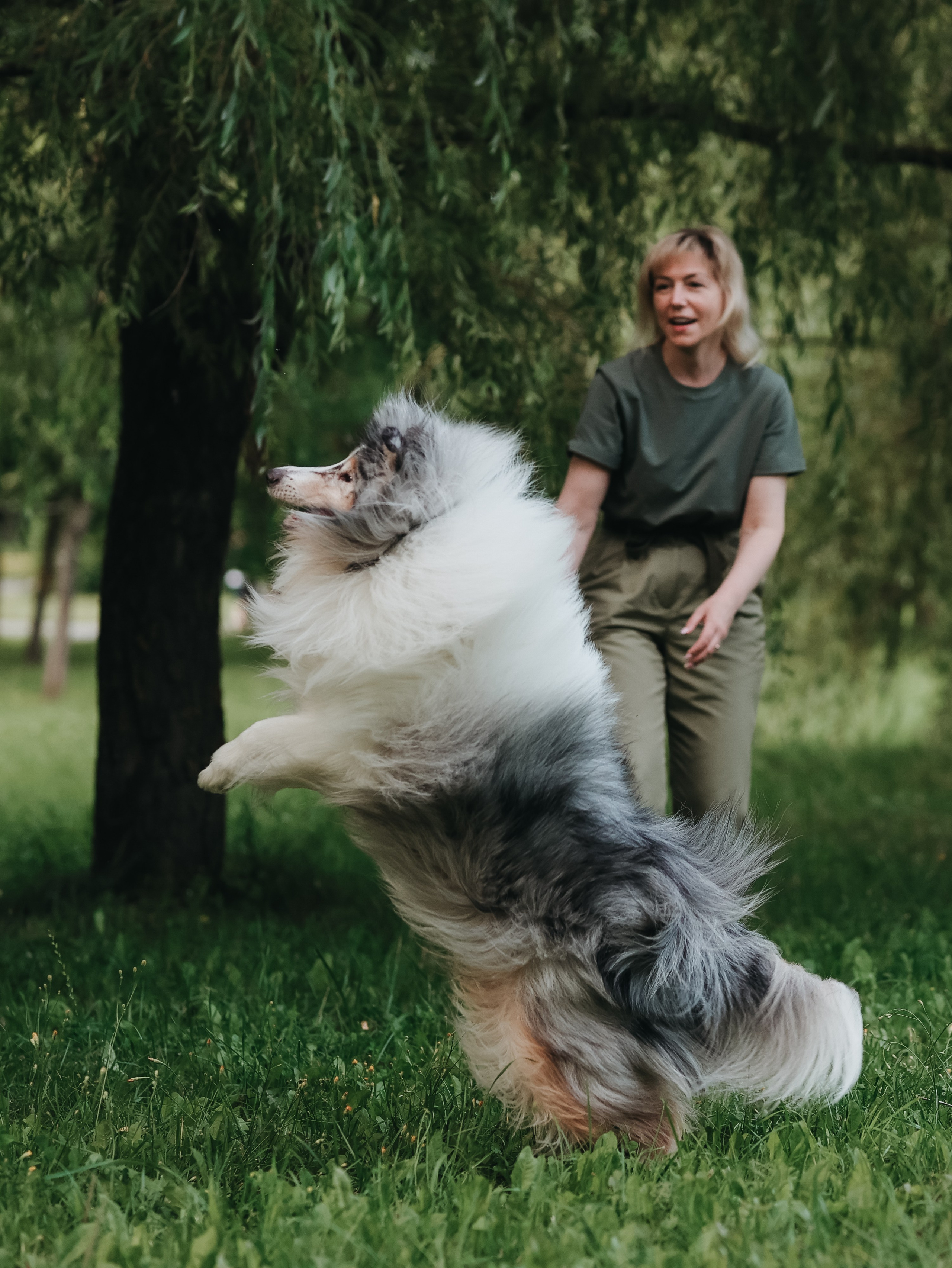 Гранд и Инга. Фотограф-анималист в Москве Кириллова Татьяна
