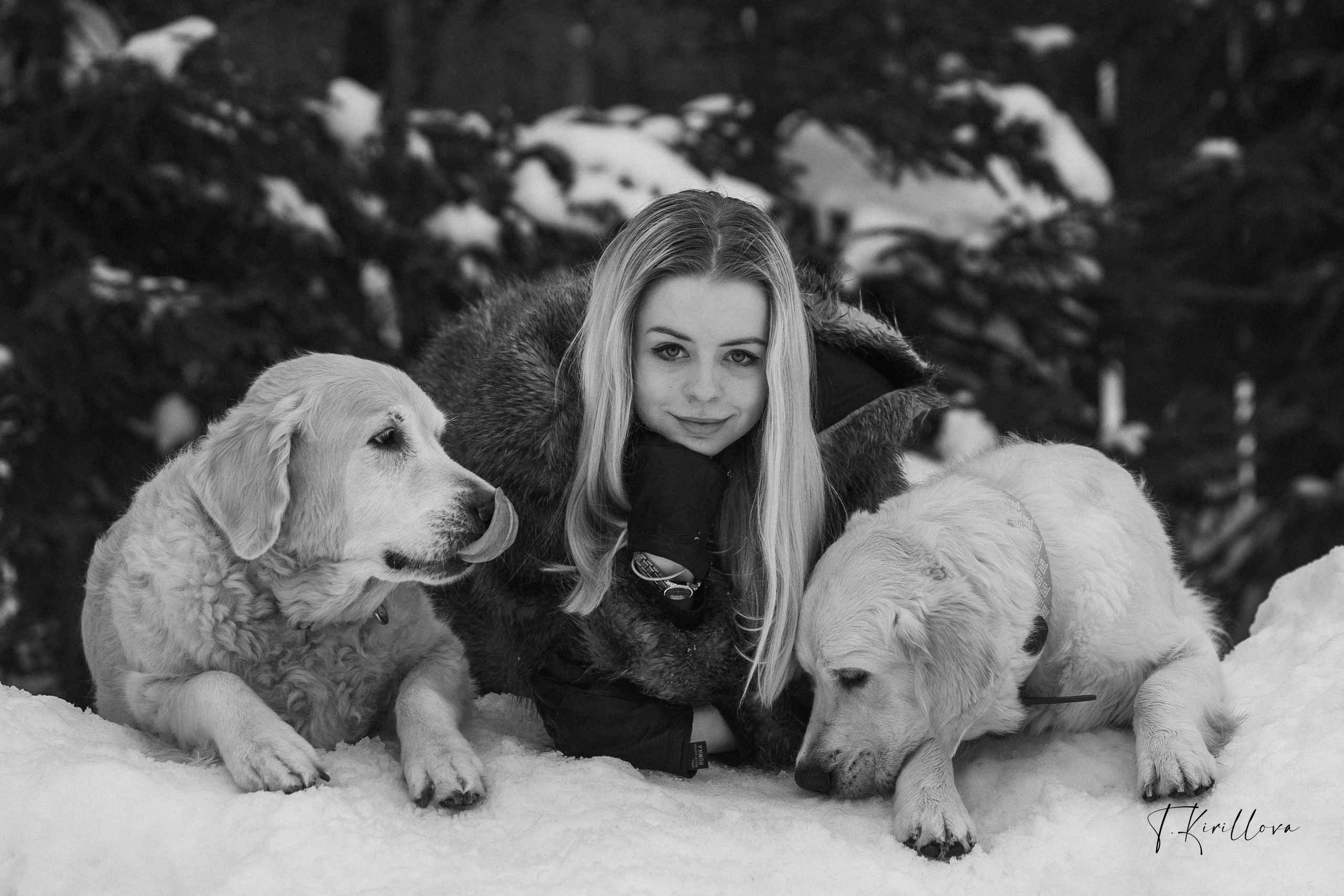 Марс, Прохор и Гелена. Фотограф-анималист в Москве Кириллова Татьяна