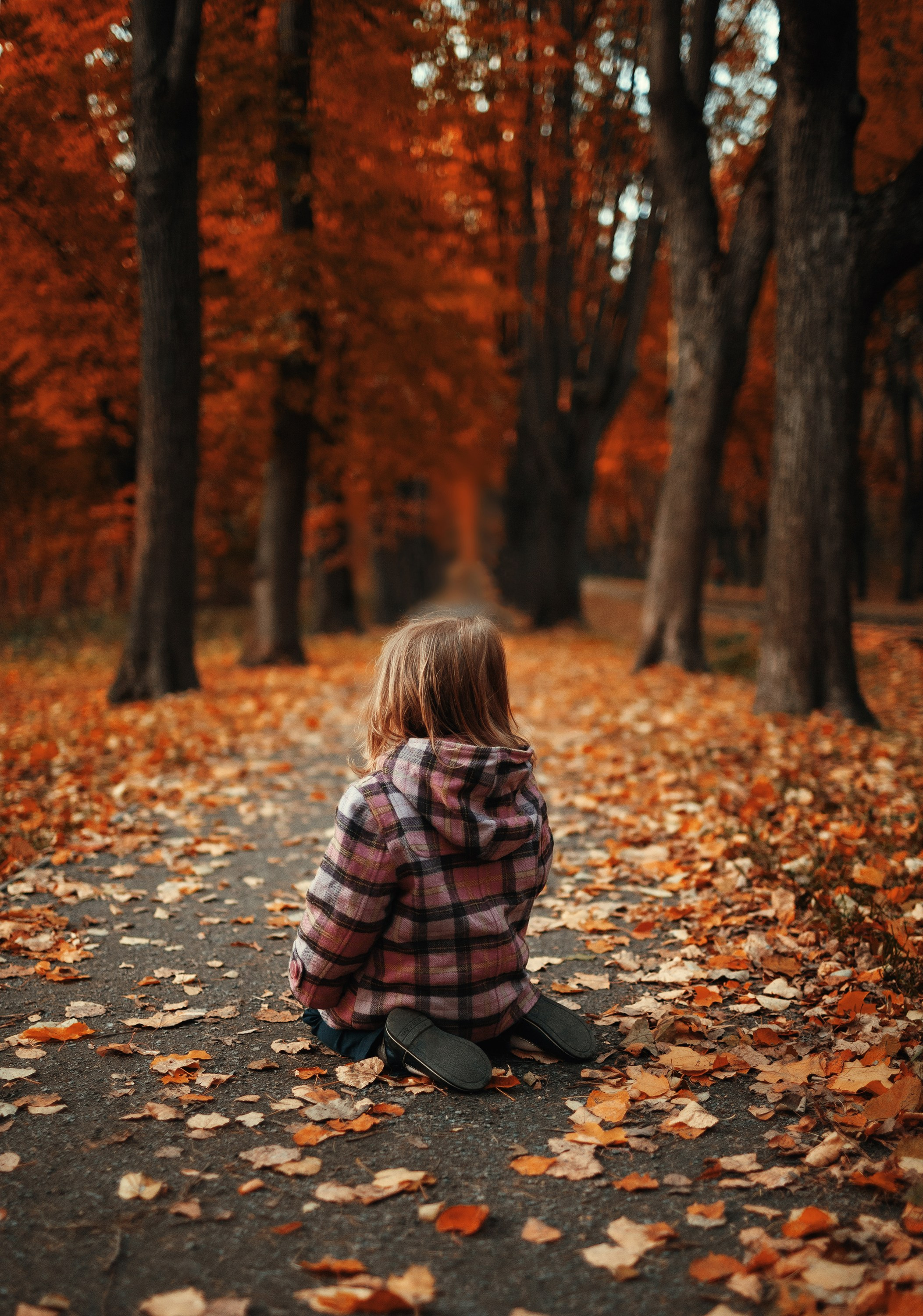 Арт-фото. Михаил Данилов | Фотограф