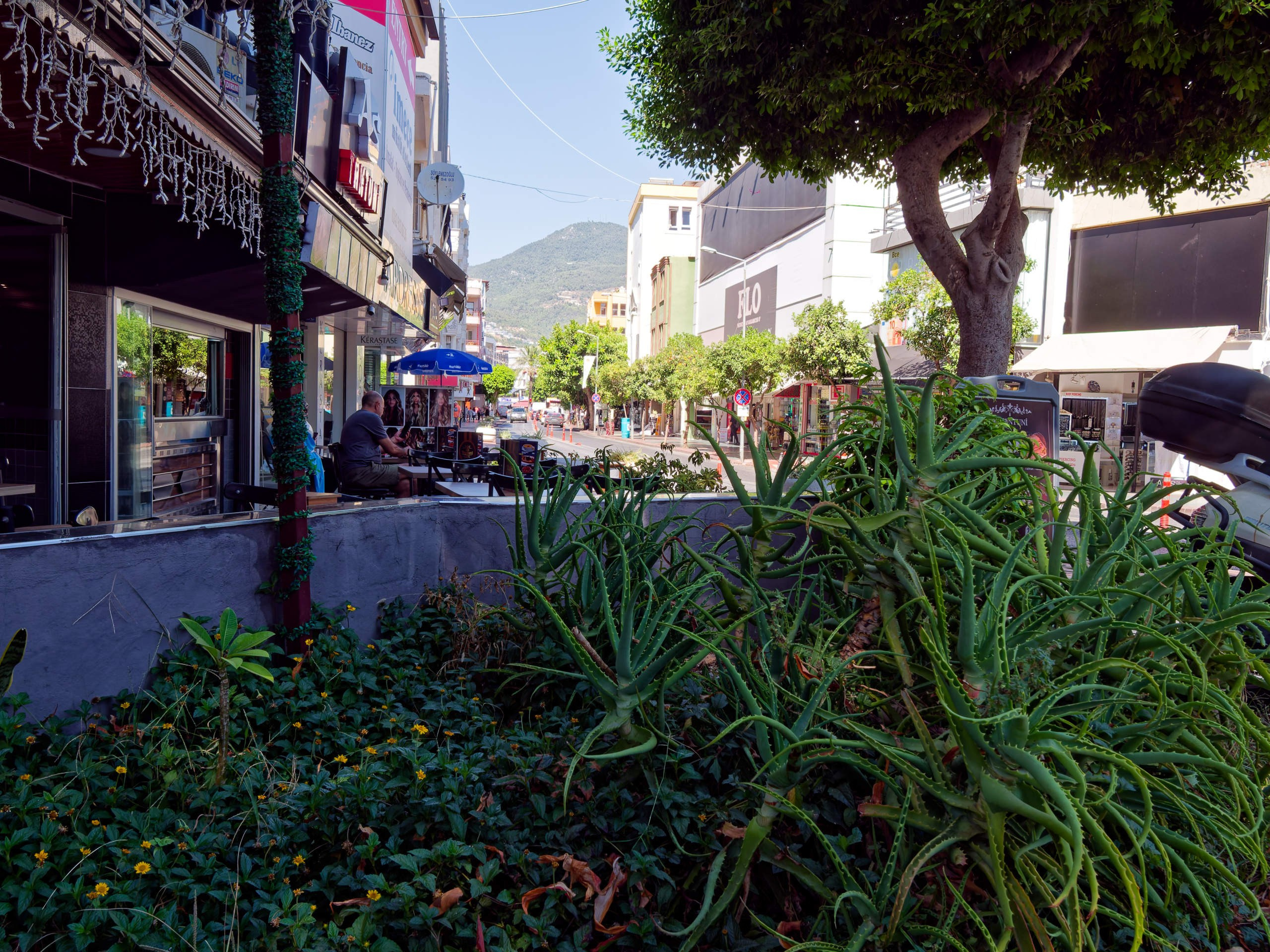 Алания 2025, город, стрит-фото. Избранные фотографии