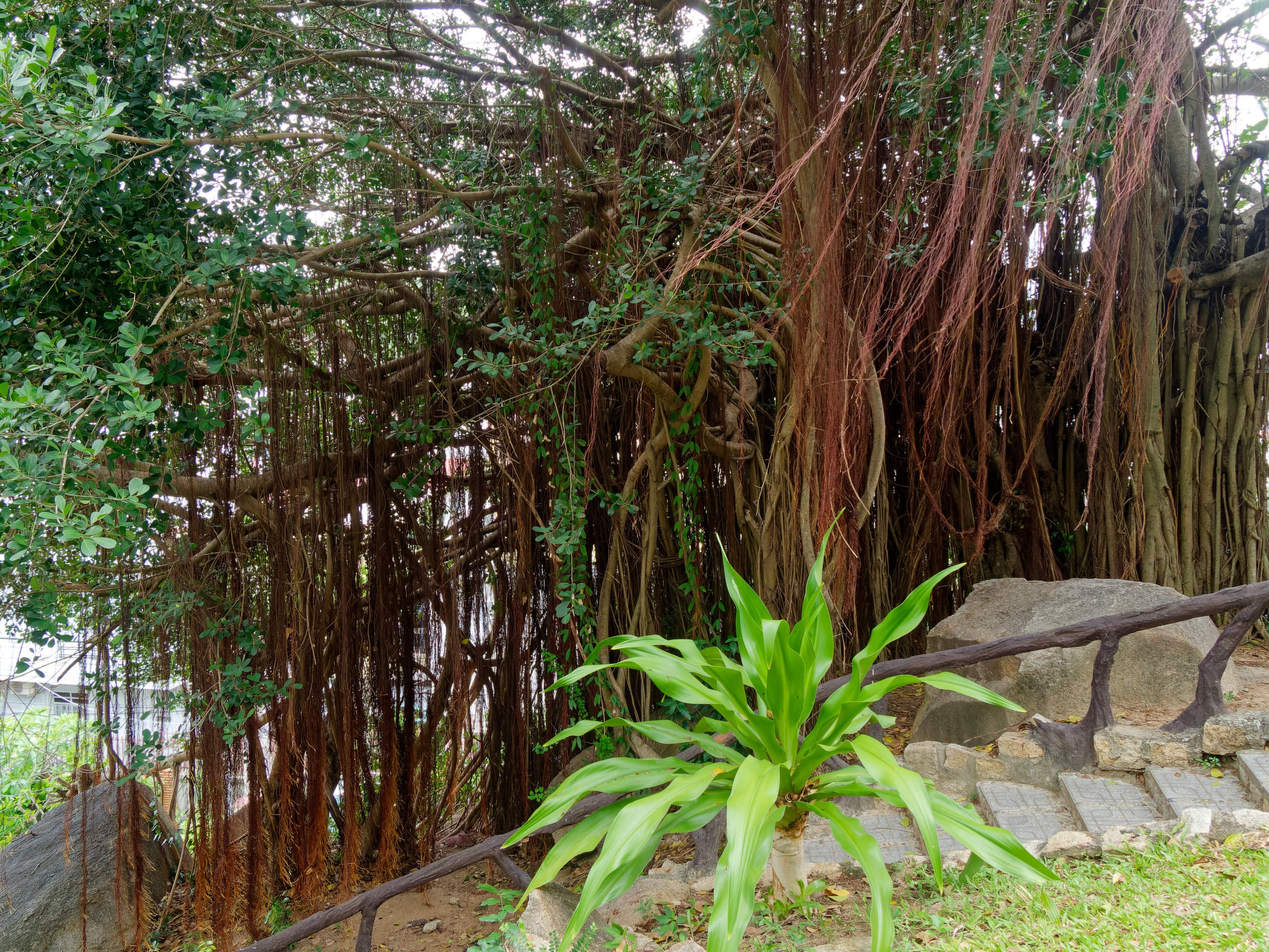 Нячанг 2025 (4). Избранные фотографии