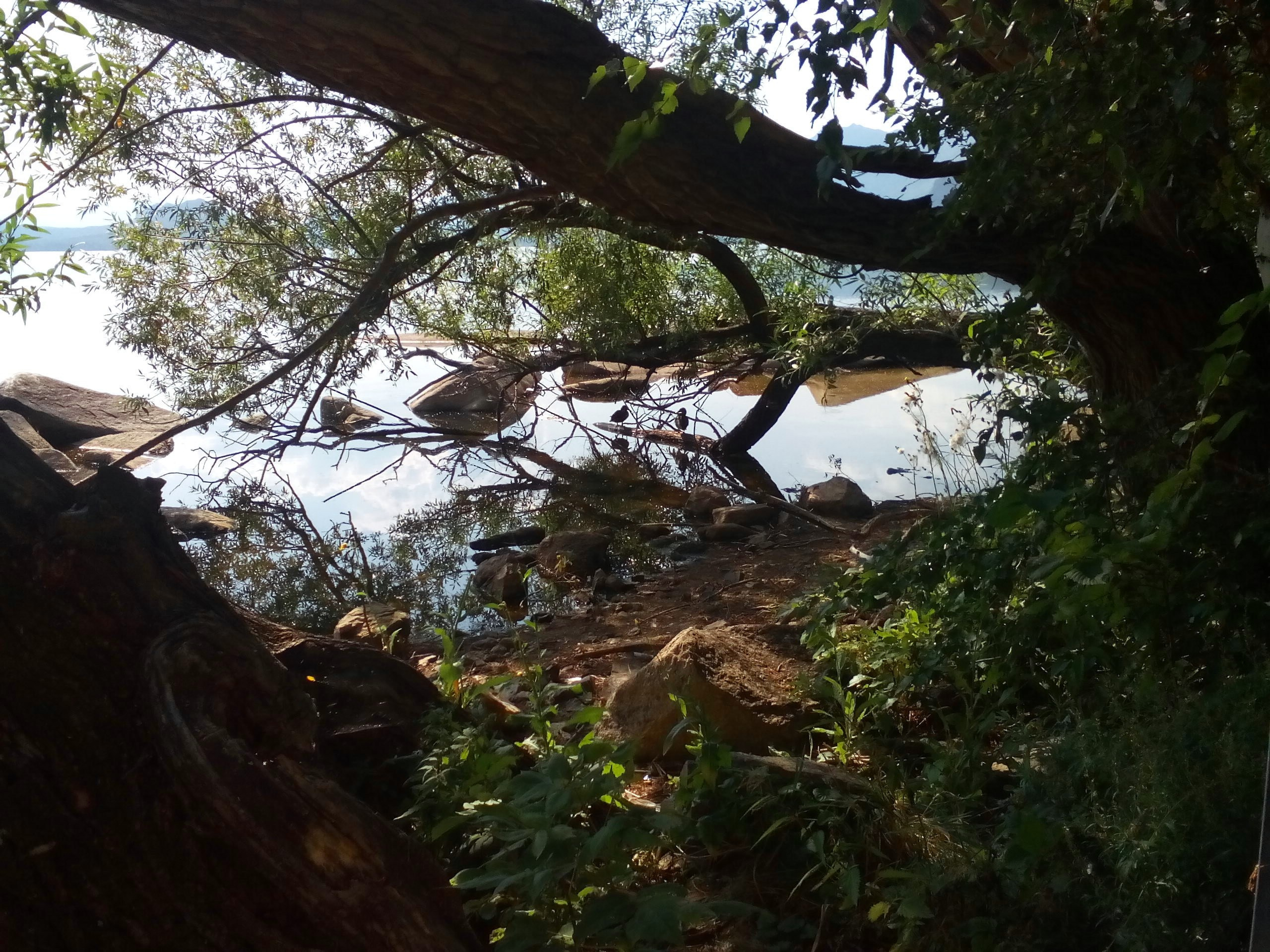 Боровое 2017 (из архива). Избранные фотографии