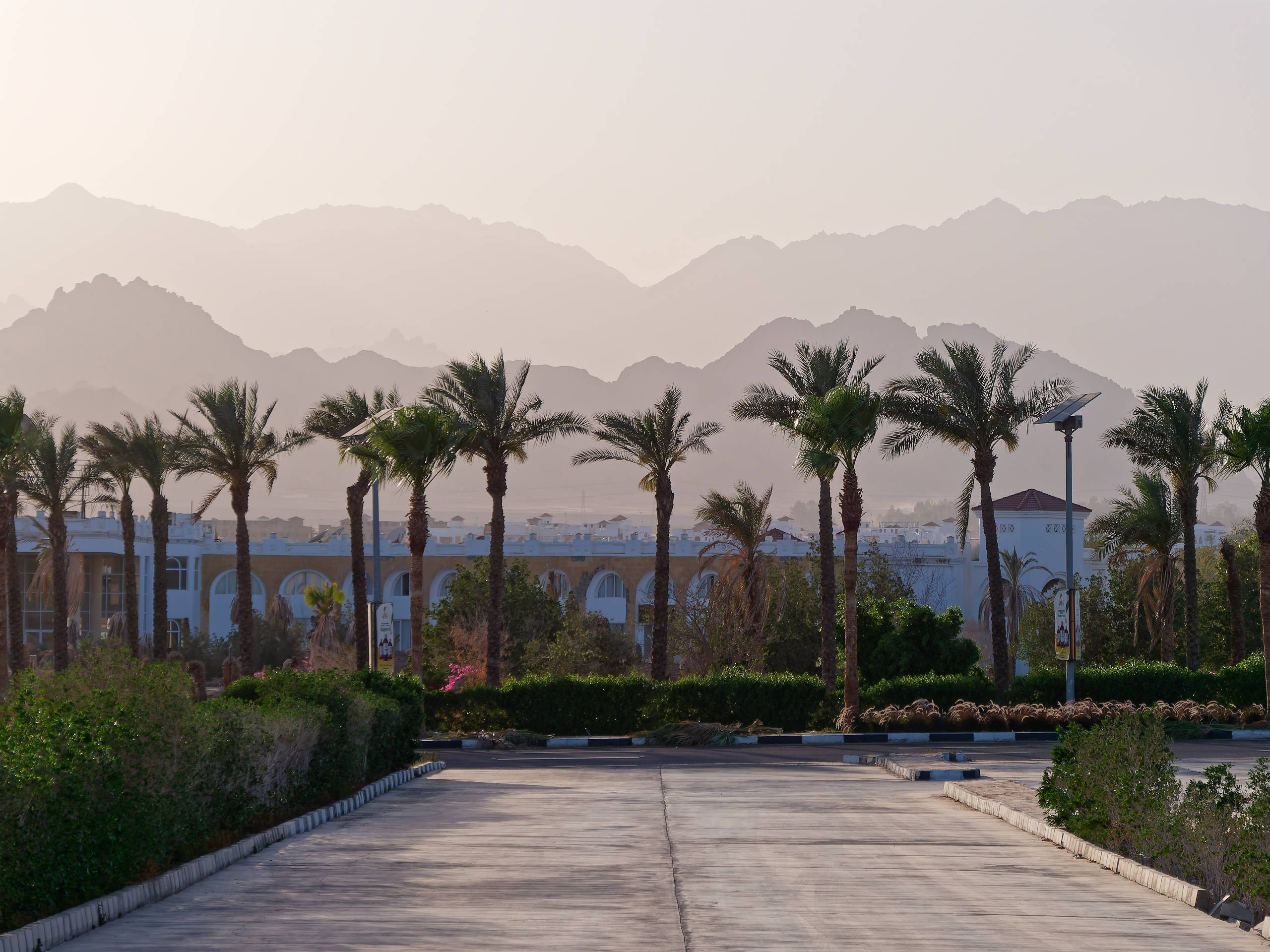 Шарм-эль-Шейх 2022 (1). Избранные фотографии