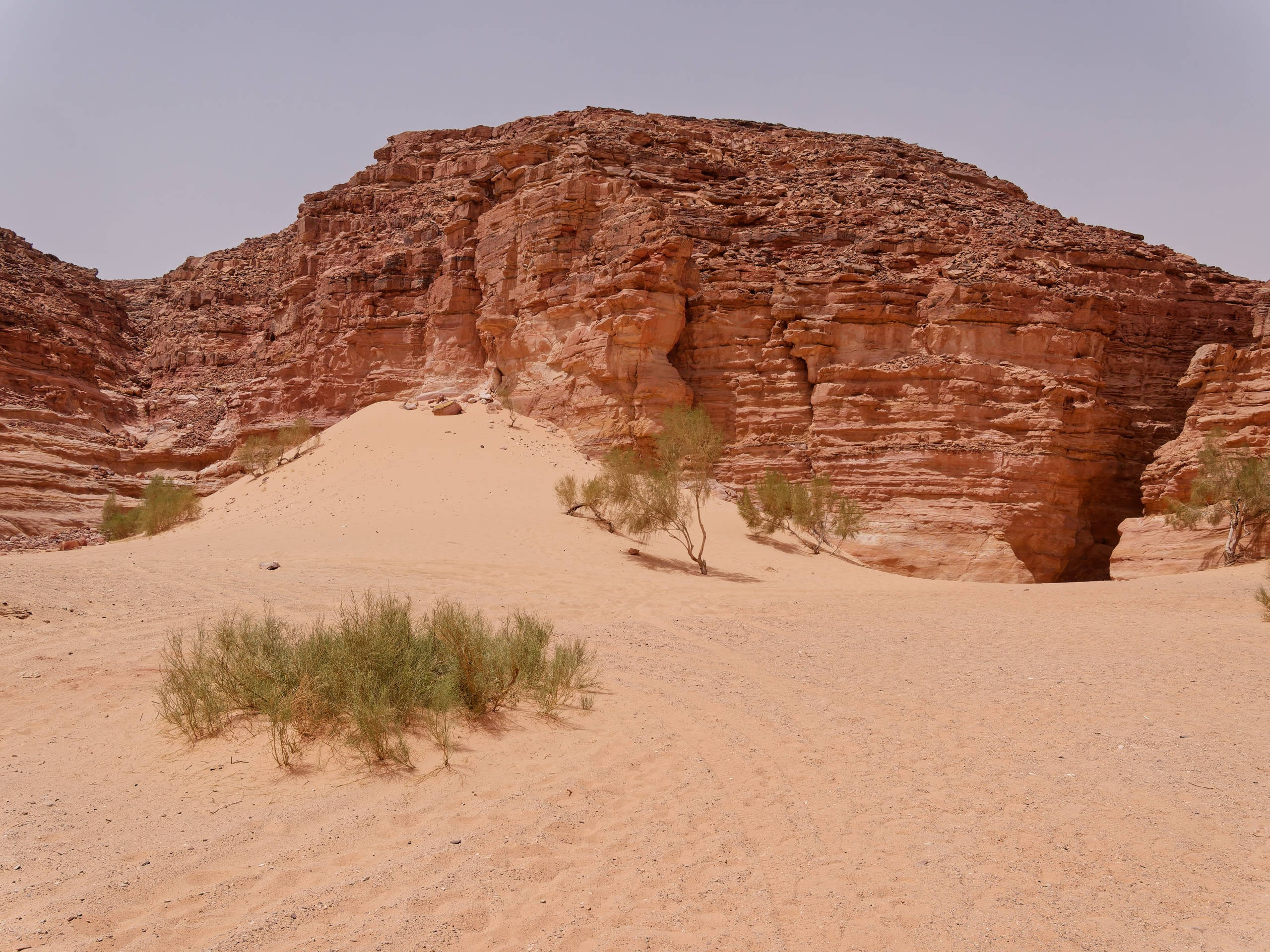 Шарм-эль-Шейх 2022, сафари. Избранные фотографии
