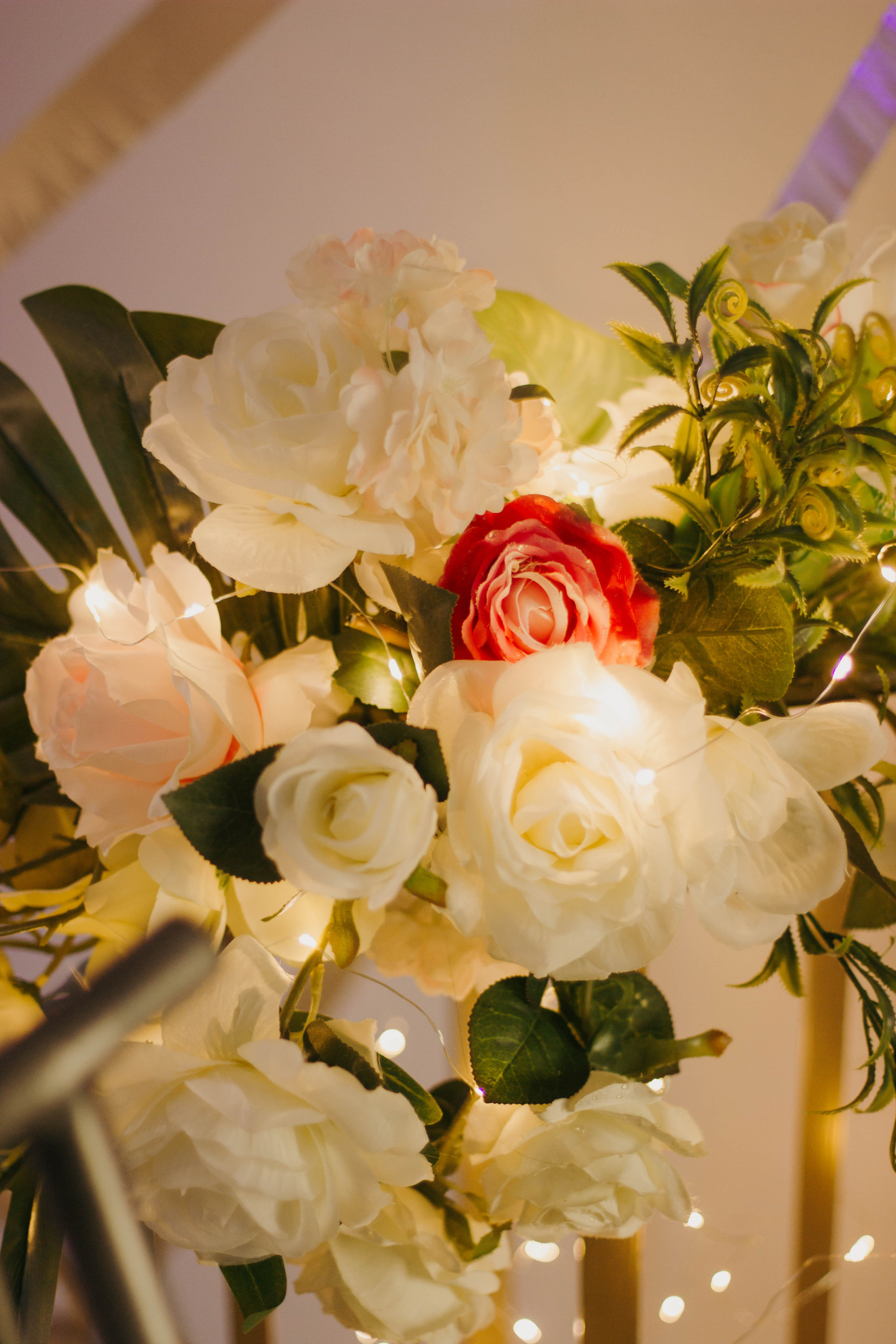 Саша+Оля. Свадебный фотограф Анастасия