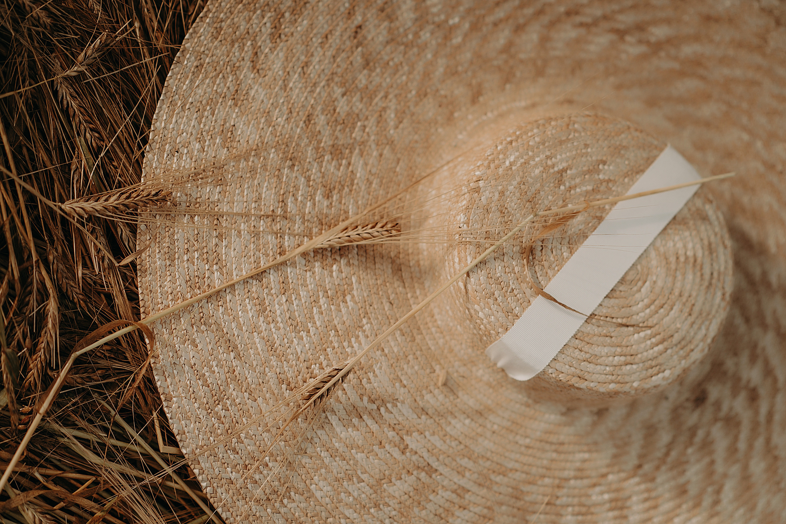 Предсвадебная love-story для Насти и Ильи. Семейный и свадебный фотограф в Туле Москве