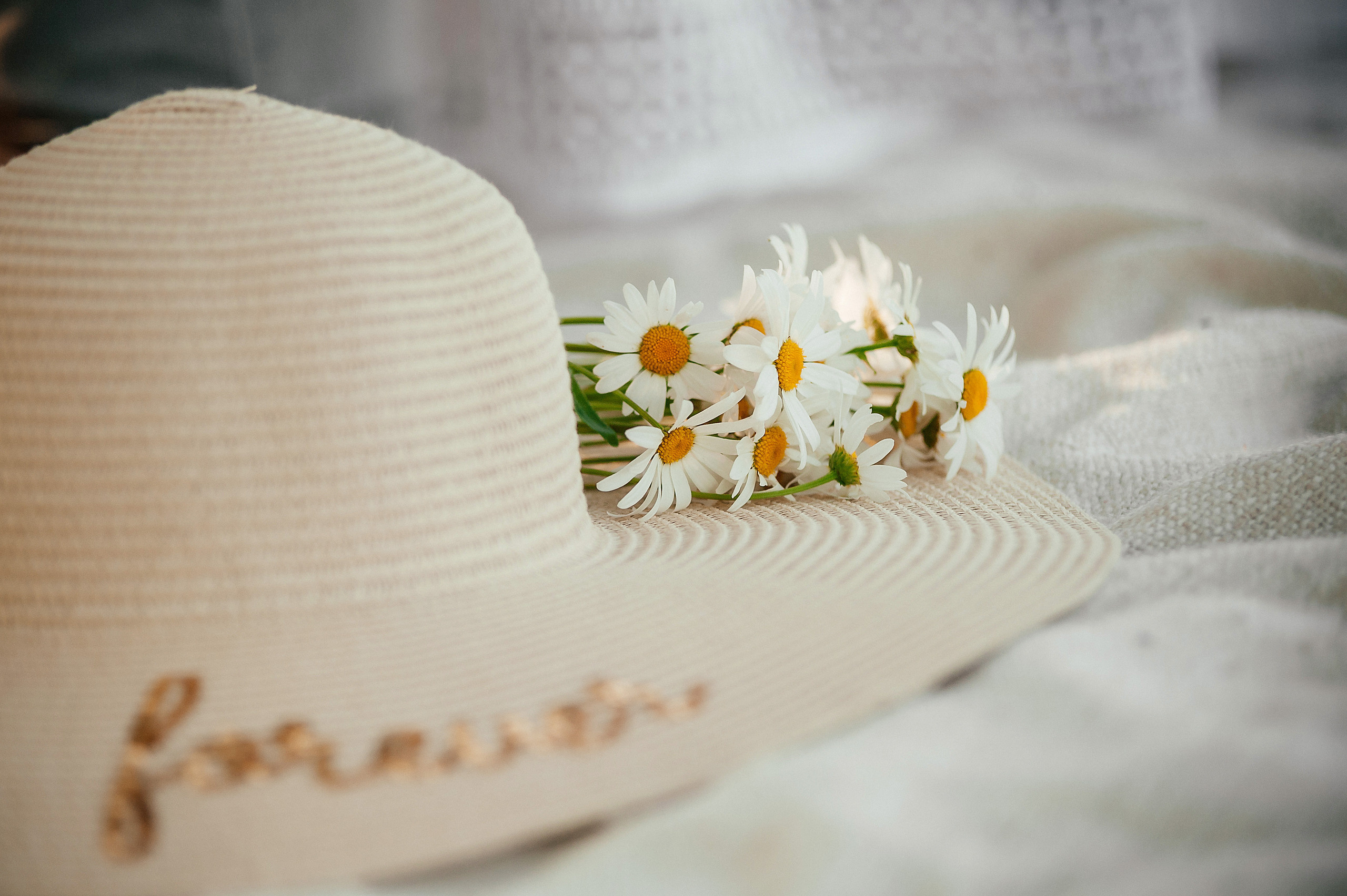 Летняя прогулка для Валерия и Анны. Семейный и свадебный фотограф в Туле Москве