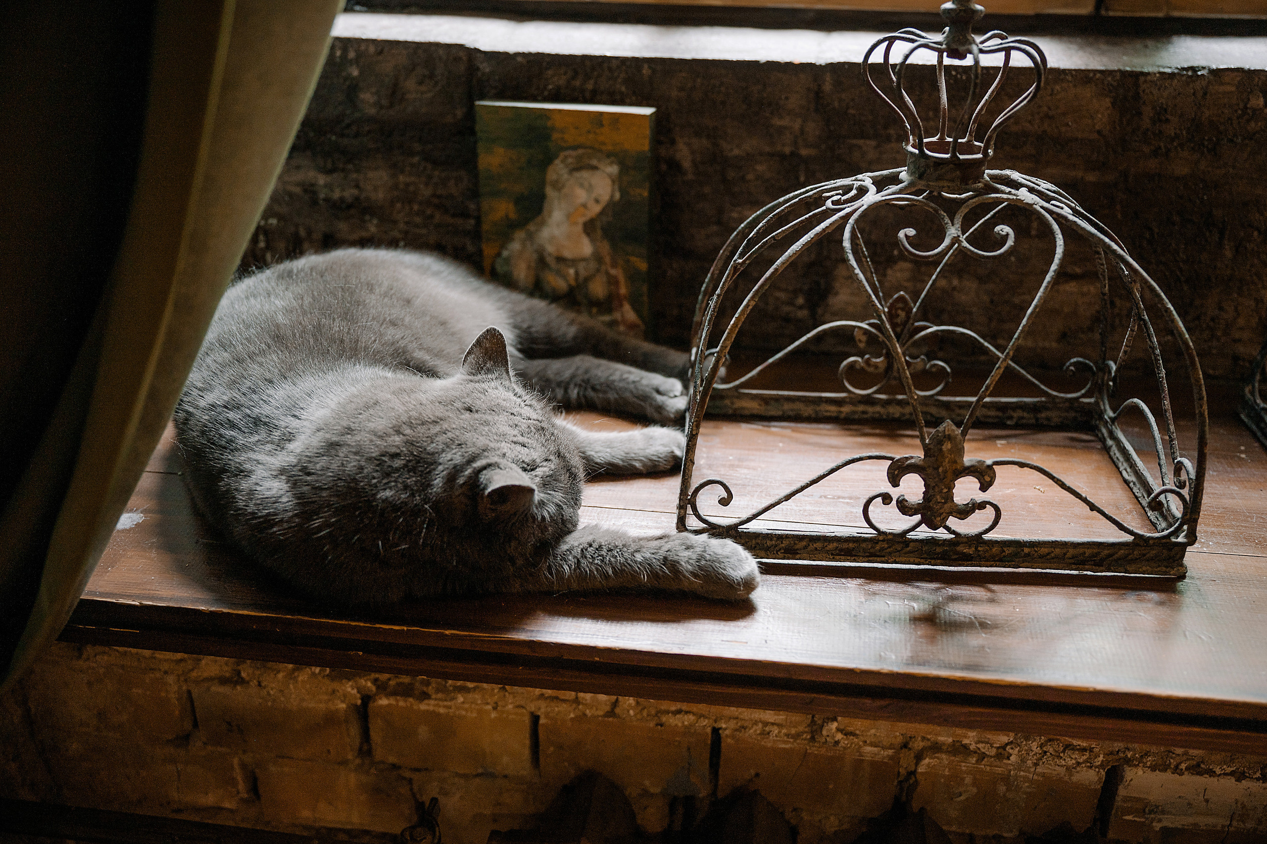 Свадьба Екатерины и Максима. Семейный и свадебный фотограф в Туле Москве