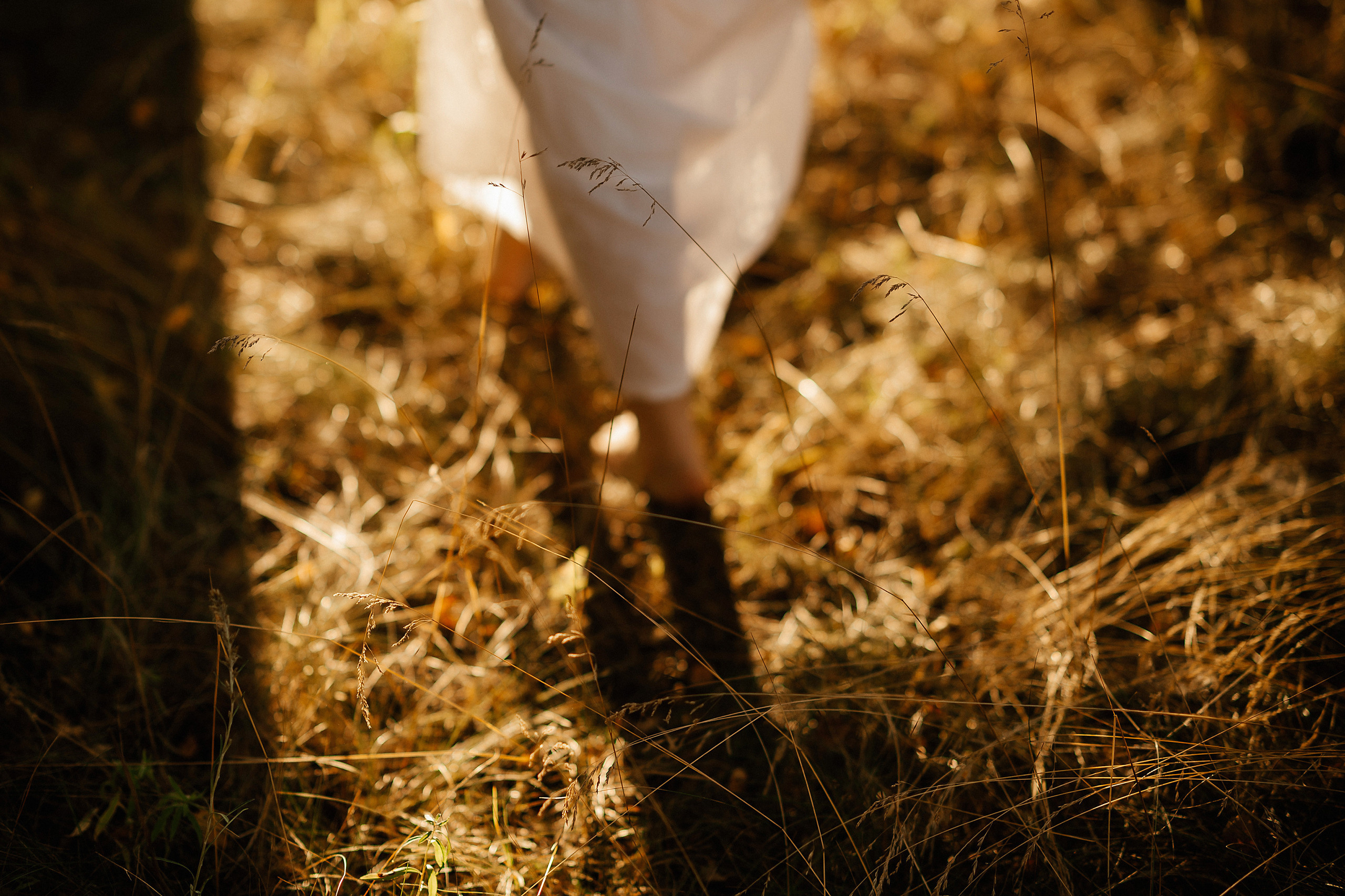 Летняя прогулка для Валерия и Анны. Семейный и свадебный фотограф в Туле Москве