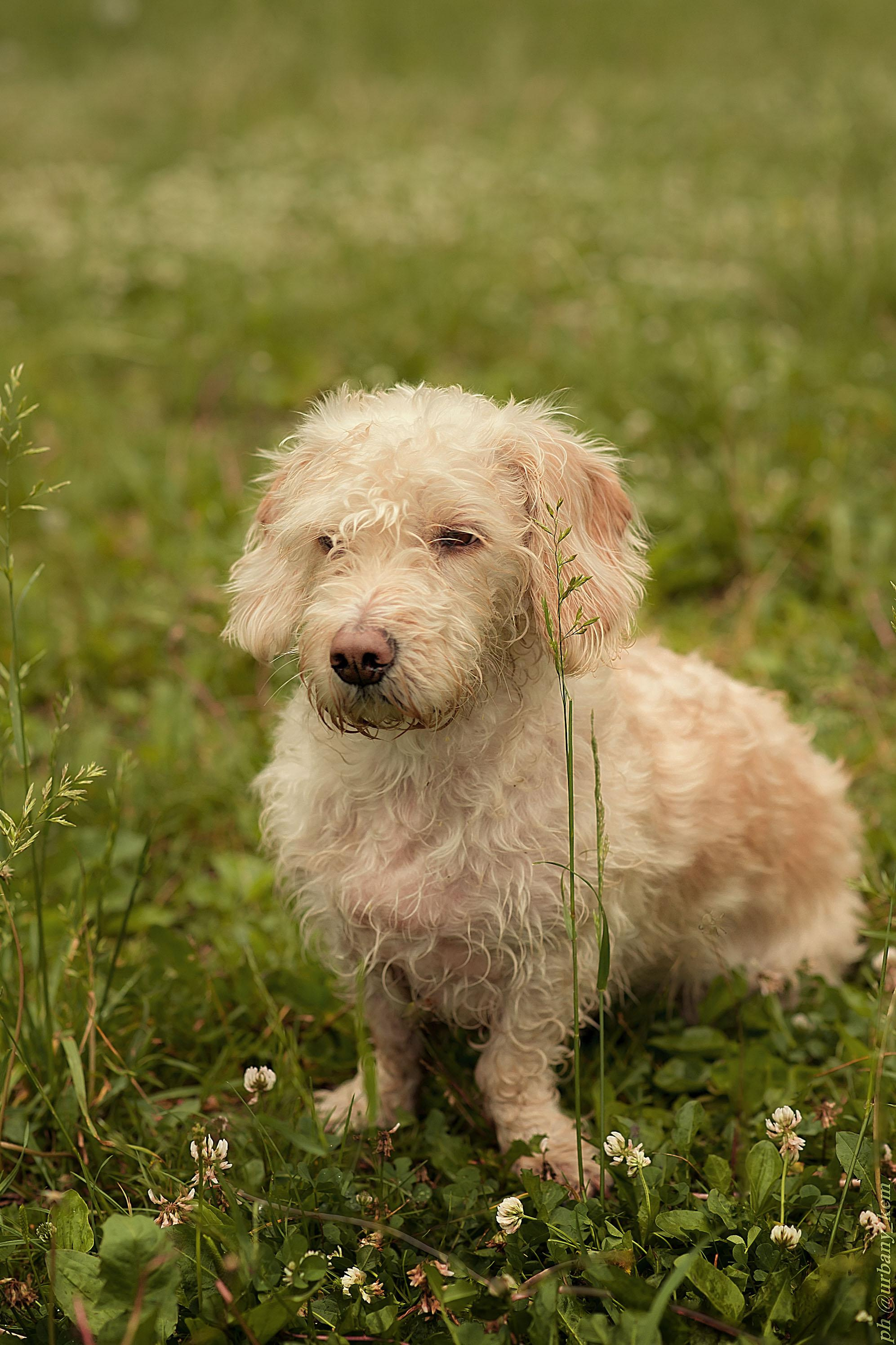 Соня и Гайка. Школьный фотограф в Кемерово Мелещенко Анна