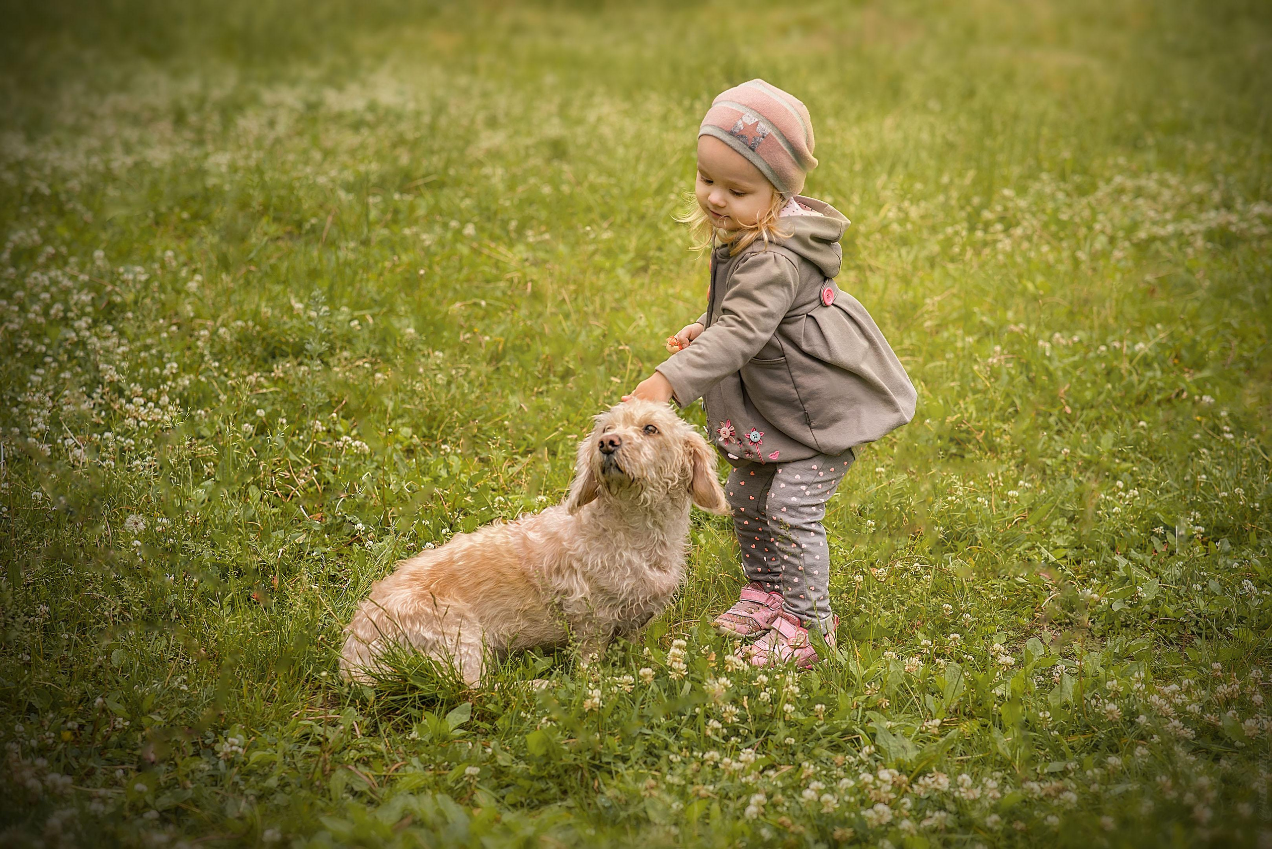 Соня и Гайка. Школьный фотограф в Кемерово Мелещенко Анна