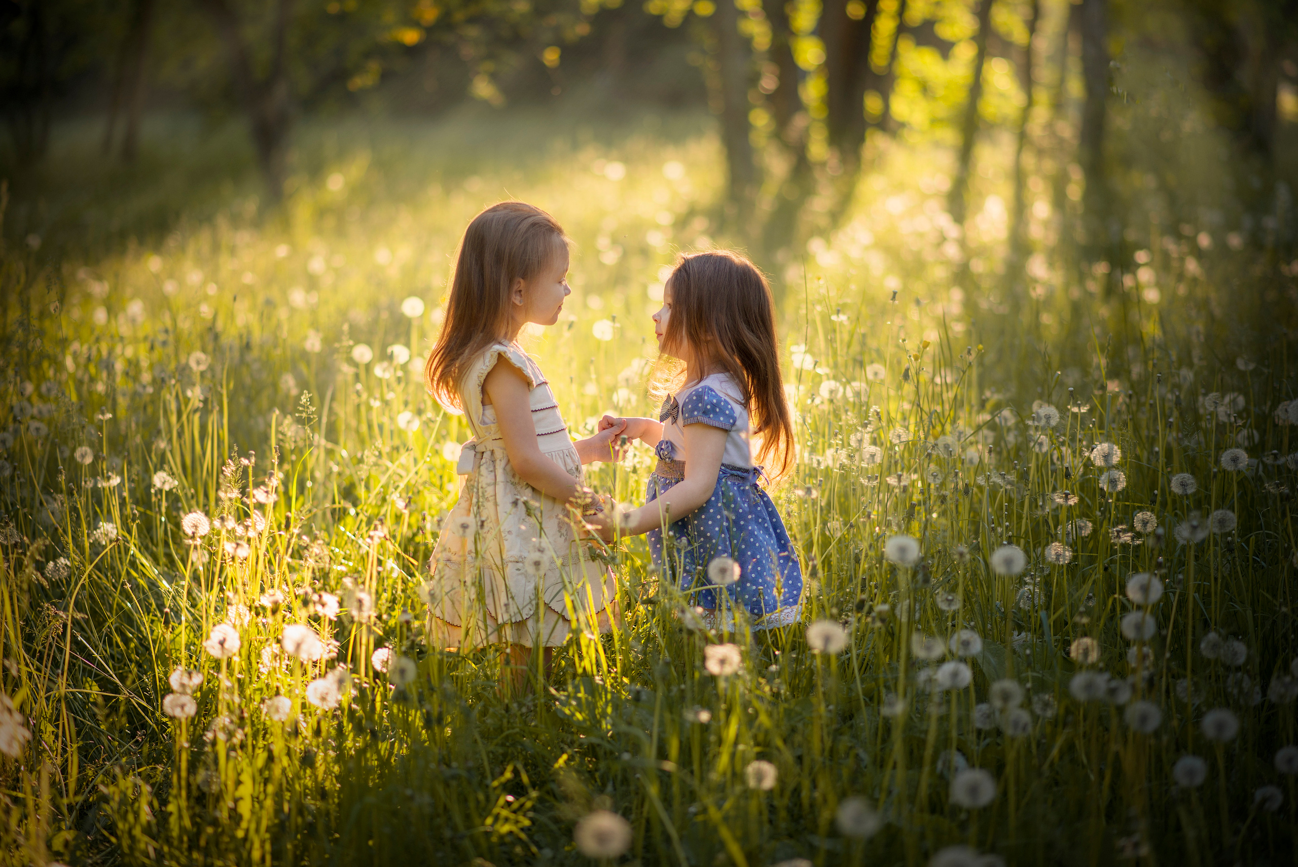 Дети — счастье!. Школьный фотограф в Кемерово Мелещенко Анна