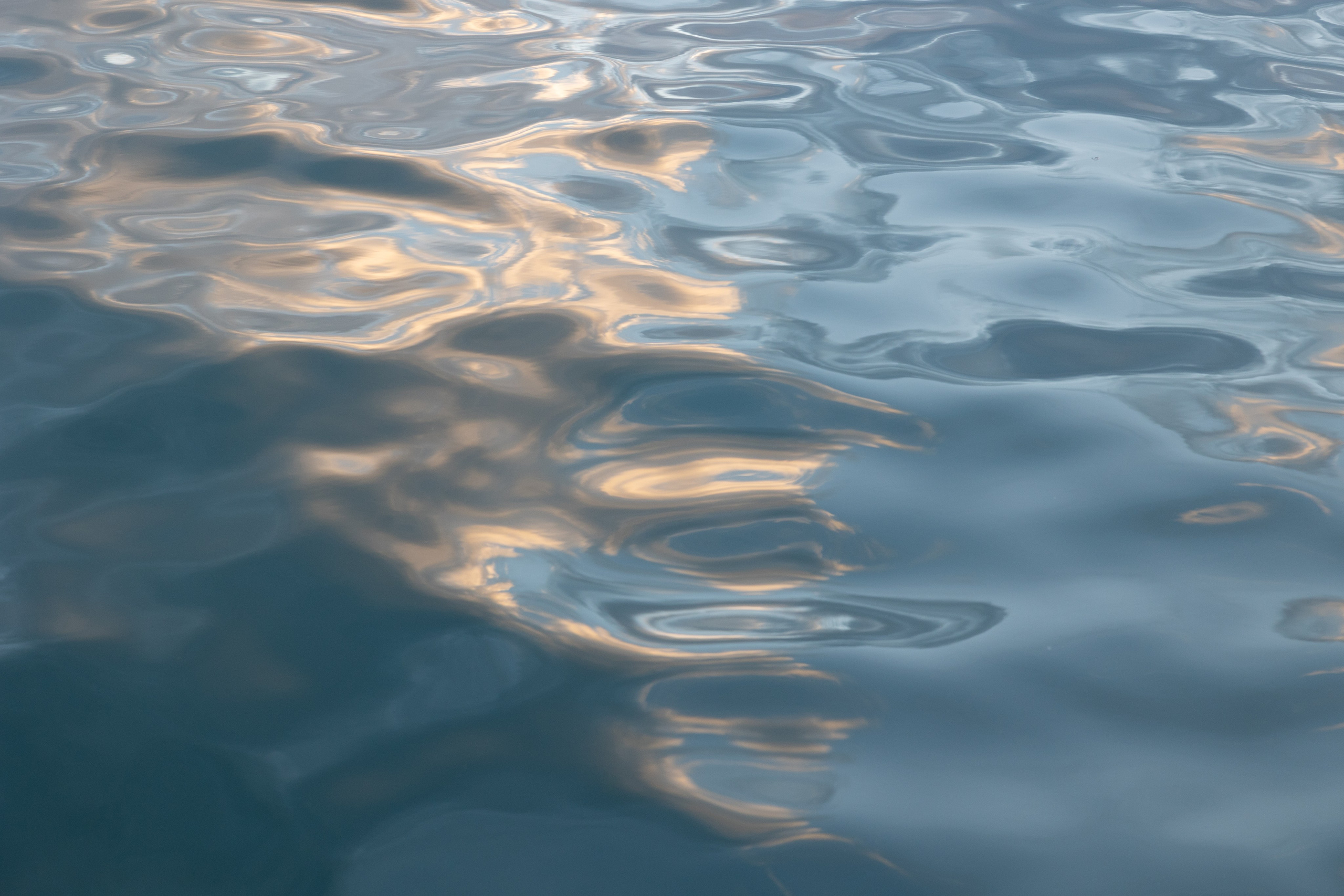 Art prints. Фотограф алина стерхова, алина стерхова фотограф, фотограф москва