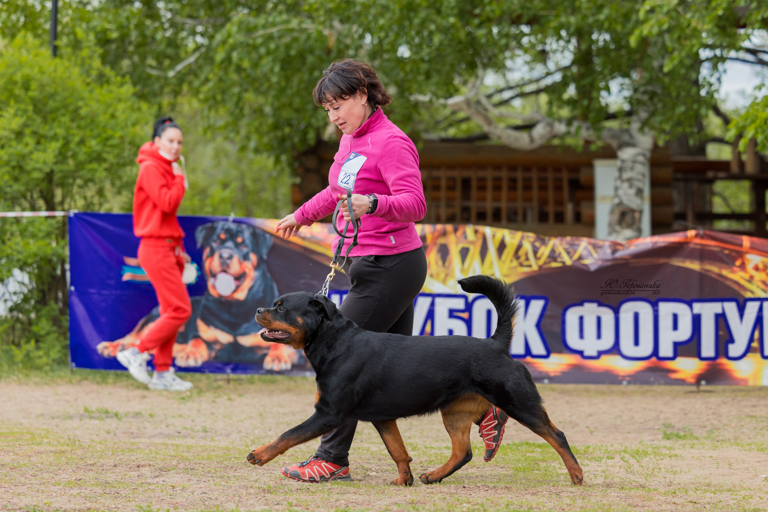 Саратов 2 х моно ротвейлеров 28-29.04.2024. Фотограф-анималист Юлия Германика