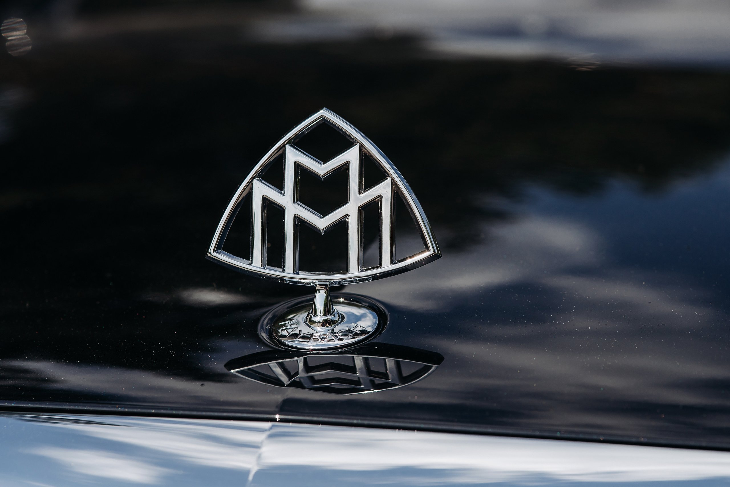 Георгий&Евгения. Фотограф Омск Андрей Козяков