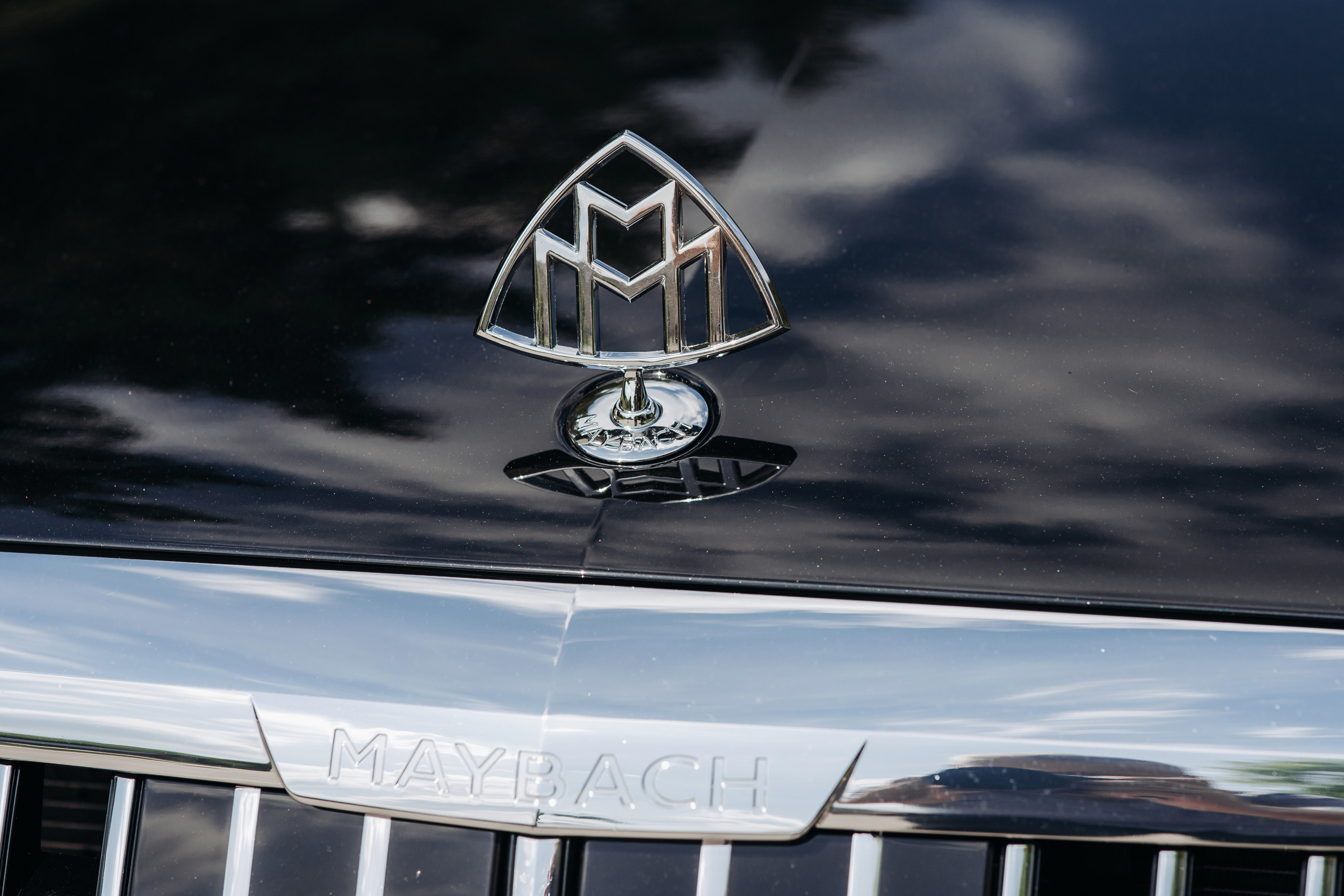 Георгий&Евгения. Фотограф Омск Андрей Козяков