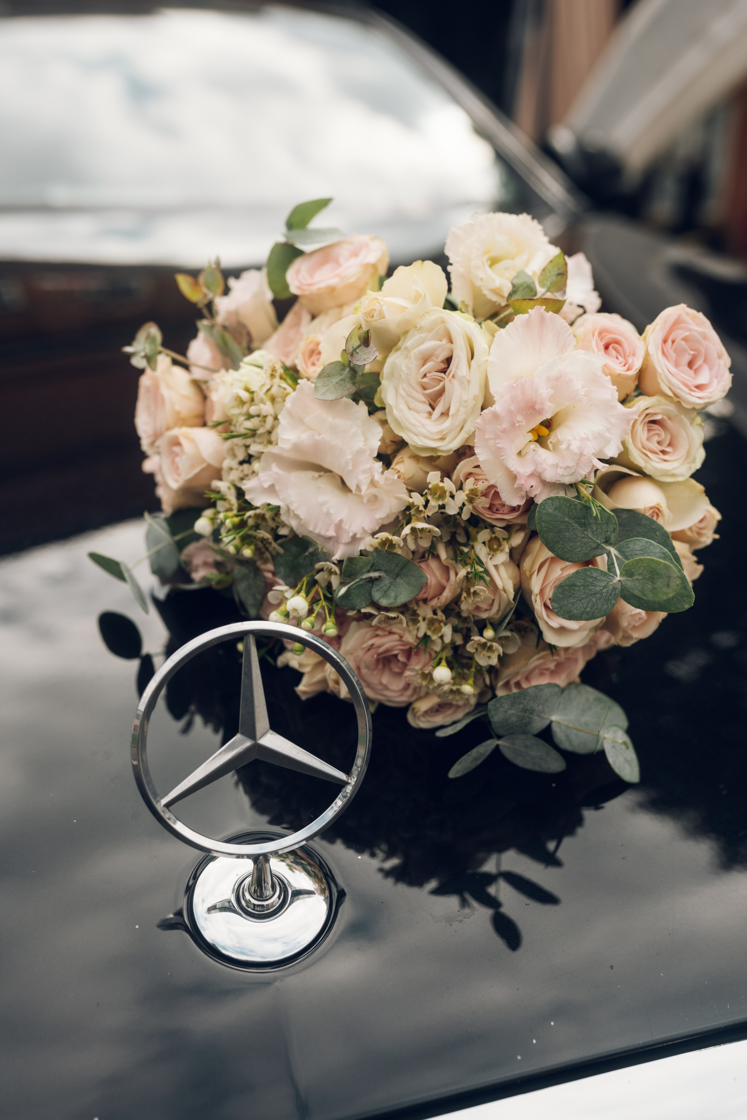 Василиса и Влад. Главная