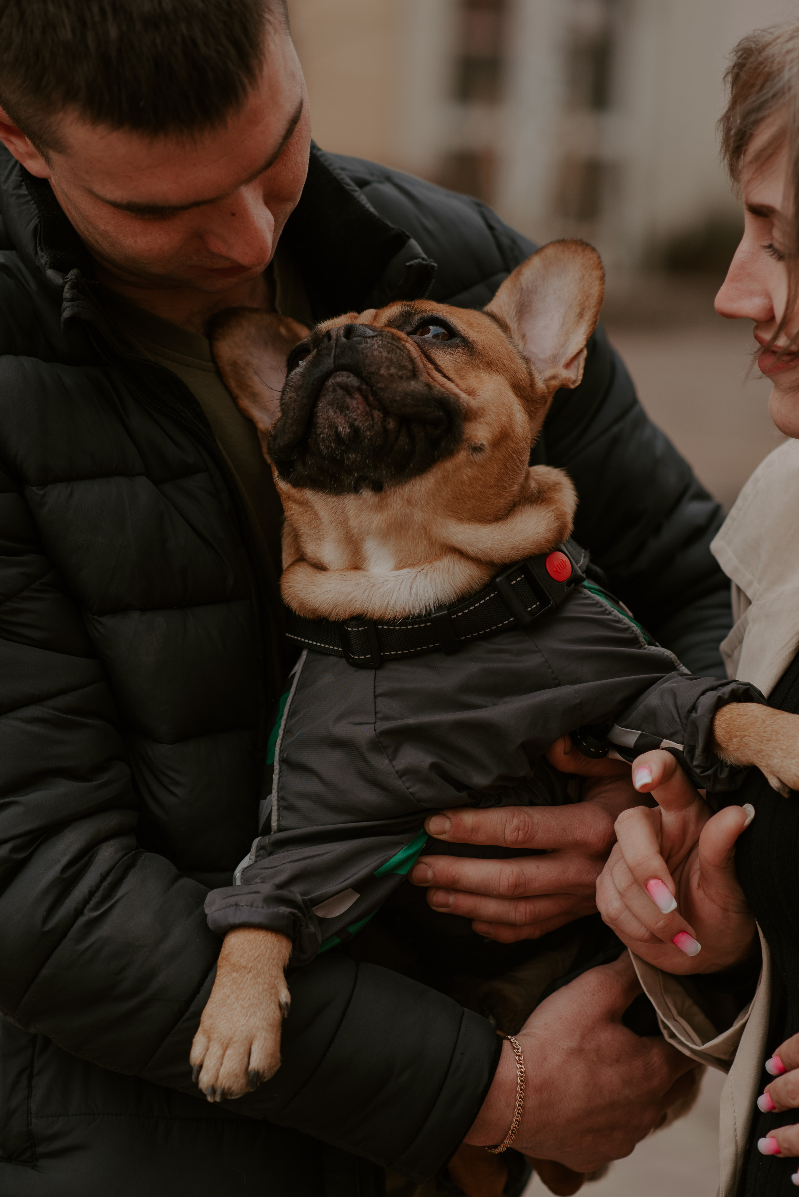 Трое и мопс. Свадебный, репортажный и семейный фотограф в Москве Арина Зак