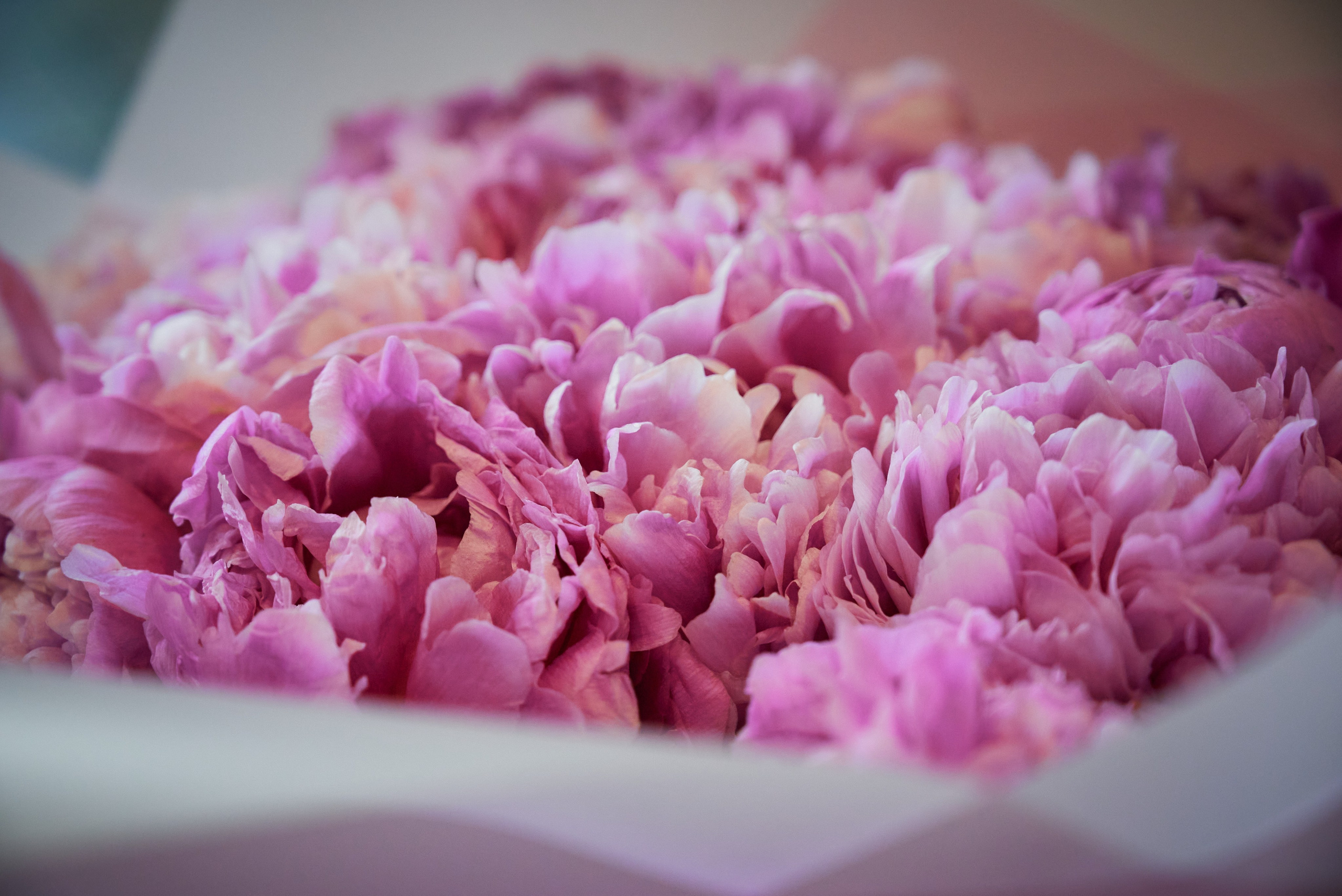 Юбилей Александры. Фотограф Зеленоград Москва