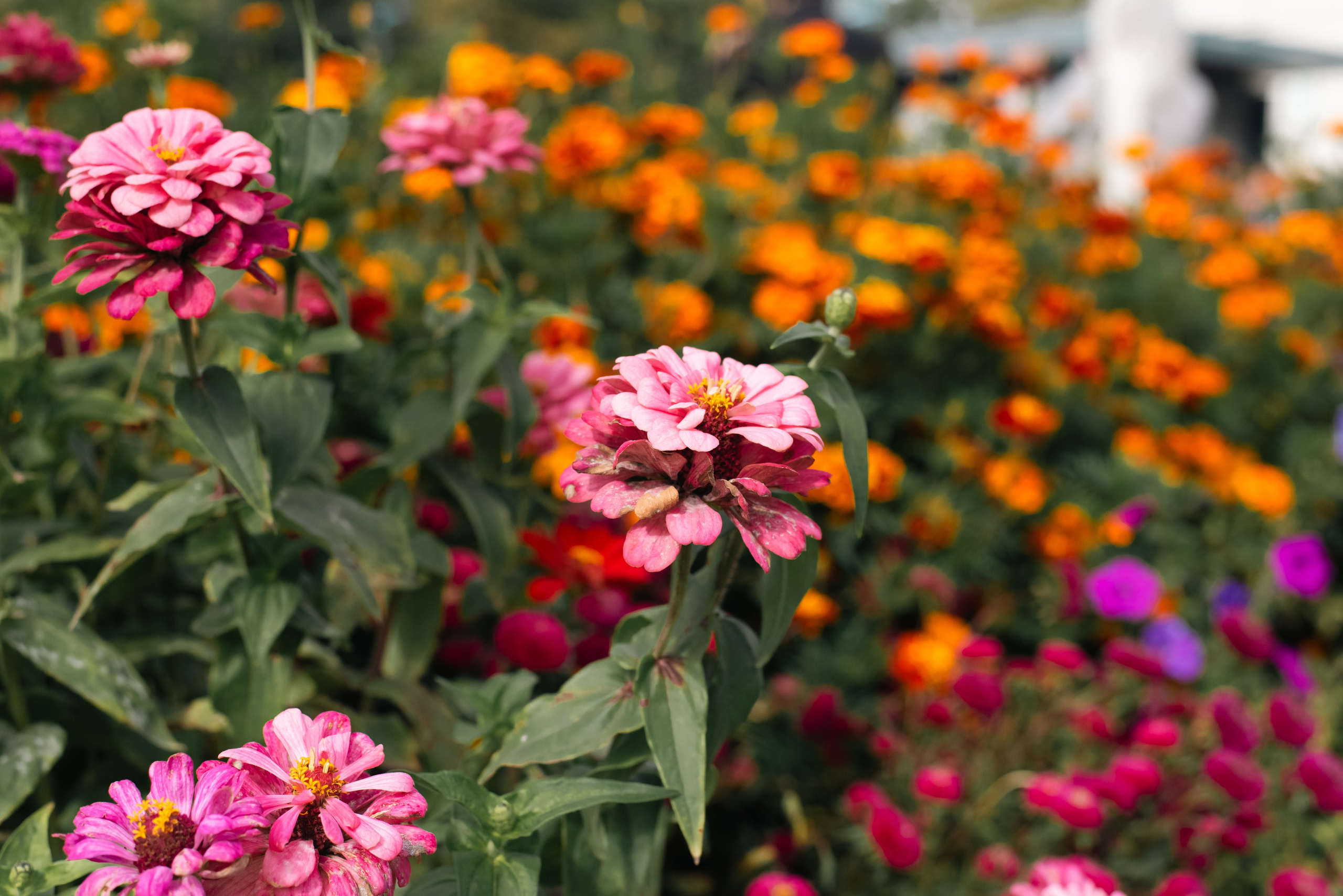 Храм Андрея Боголюбского, служба с участием войск РХБ защиты. Фотограф, визажист. Москва