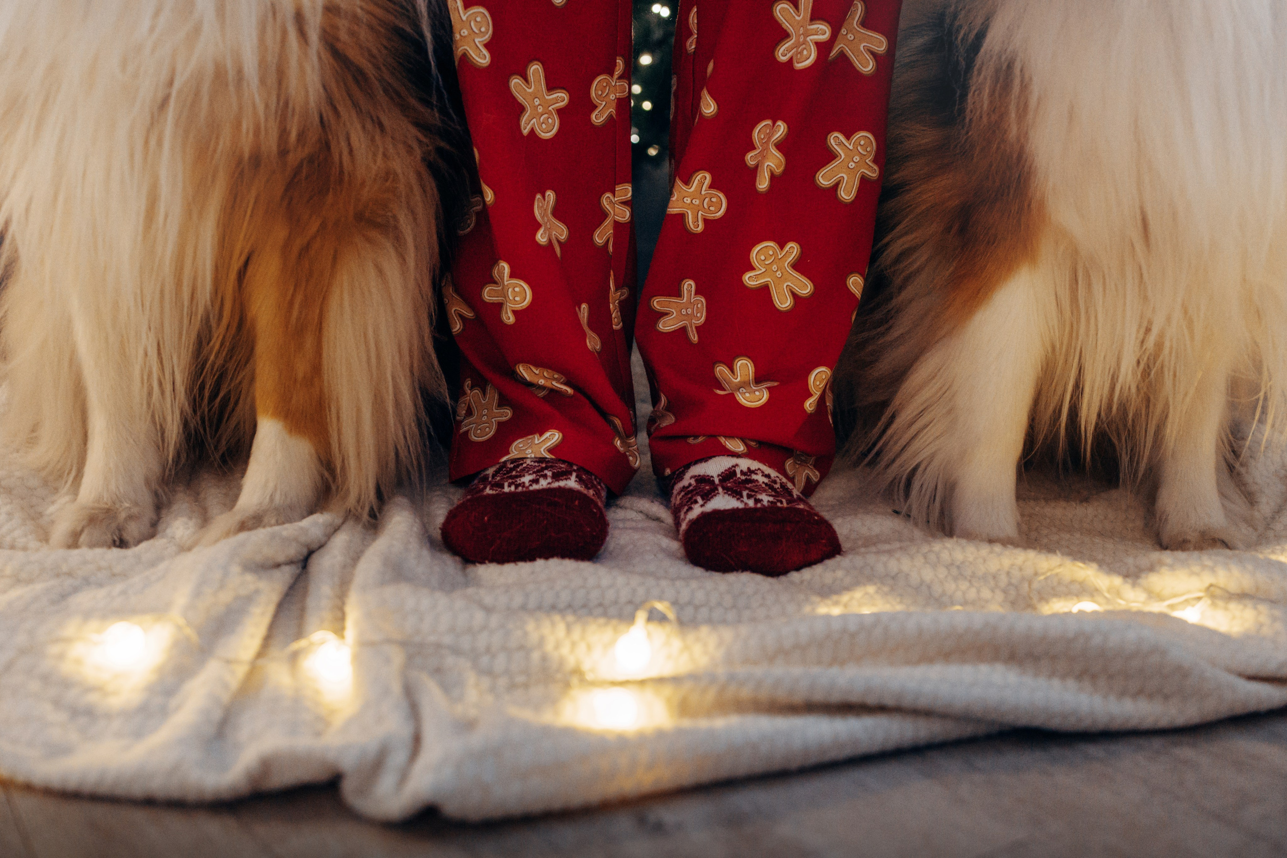 Юлиана, Элли и Райан. YULA KOLESOVA | Фотограф — Анималист | Художник | Тюмень