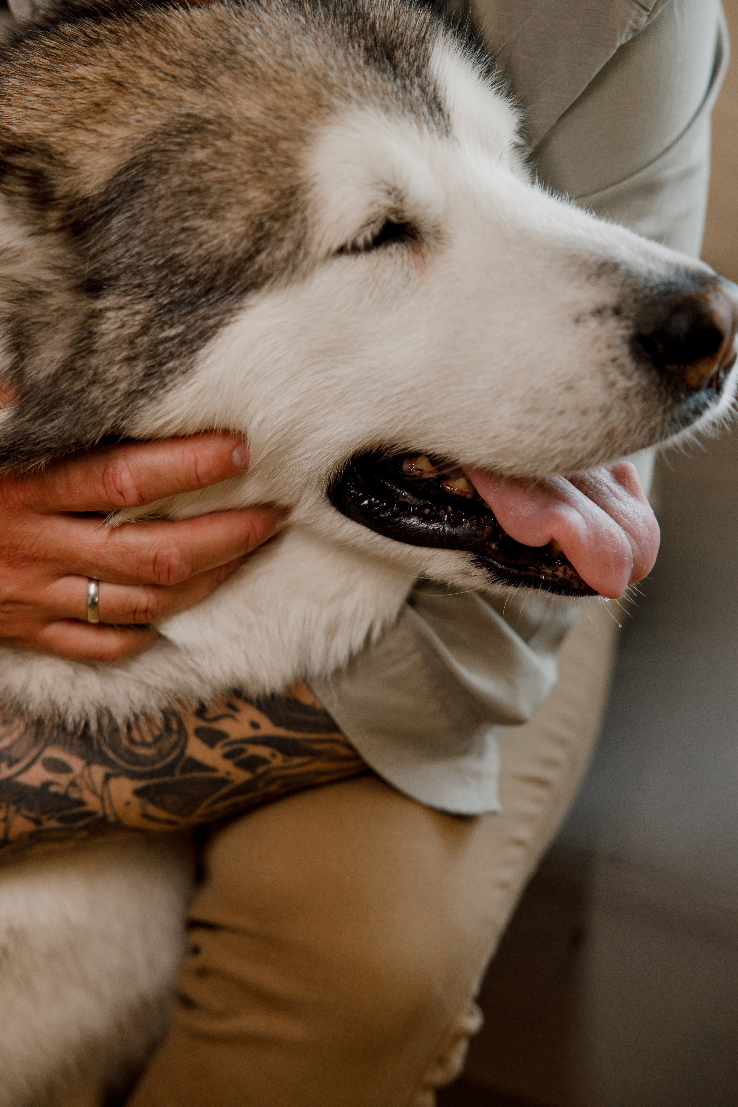 Лев 2 годика. Свадебный и семейный фотограф  во Владивостоке Ольга Украинец