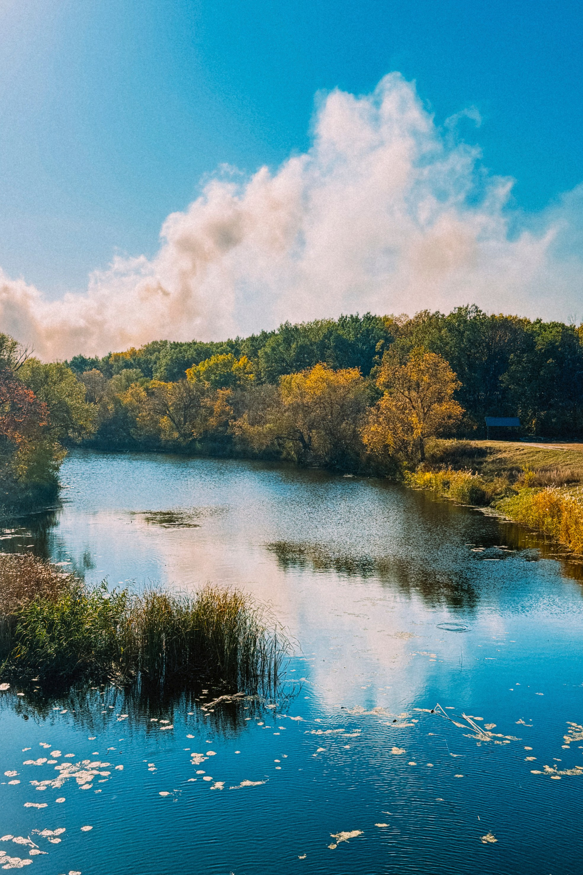 Природа. Команда фотографов Кристины Ивановой