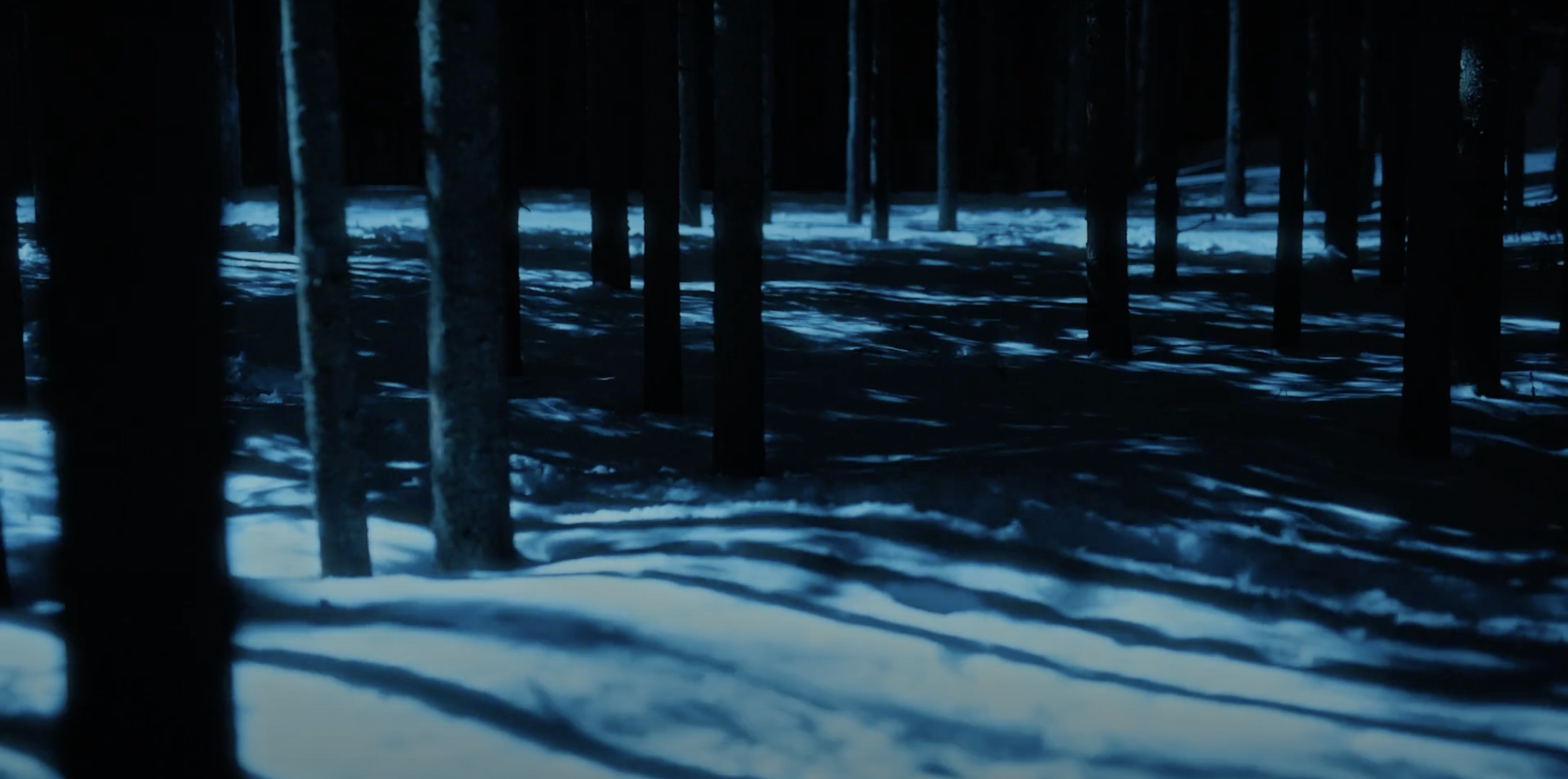 2022 ГОЛОСА АРКТИКИ. Дарья Каширина