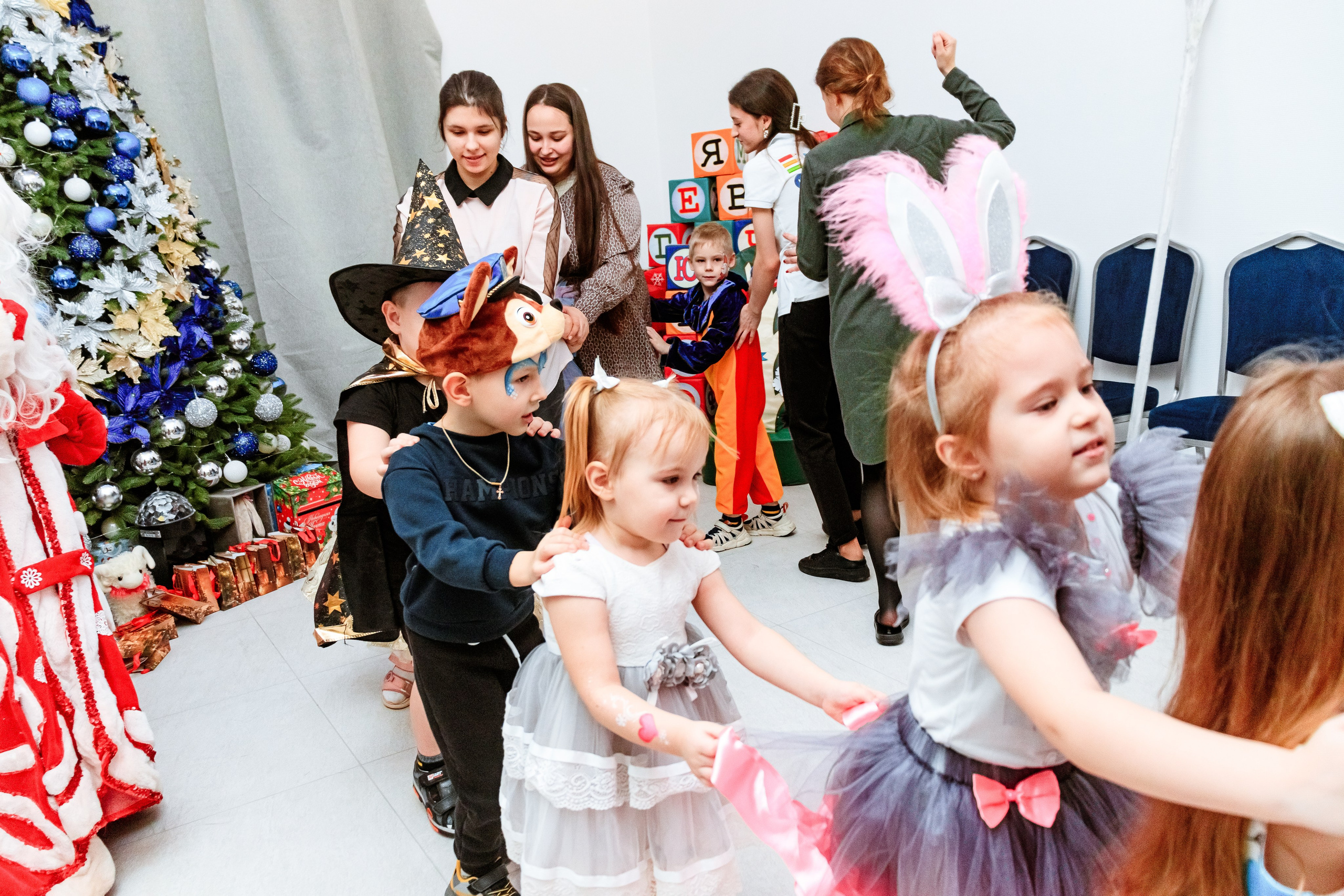 Знайка. Щенячий новый год. Фотограф — Новосибирск