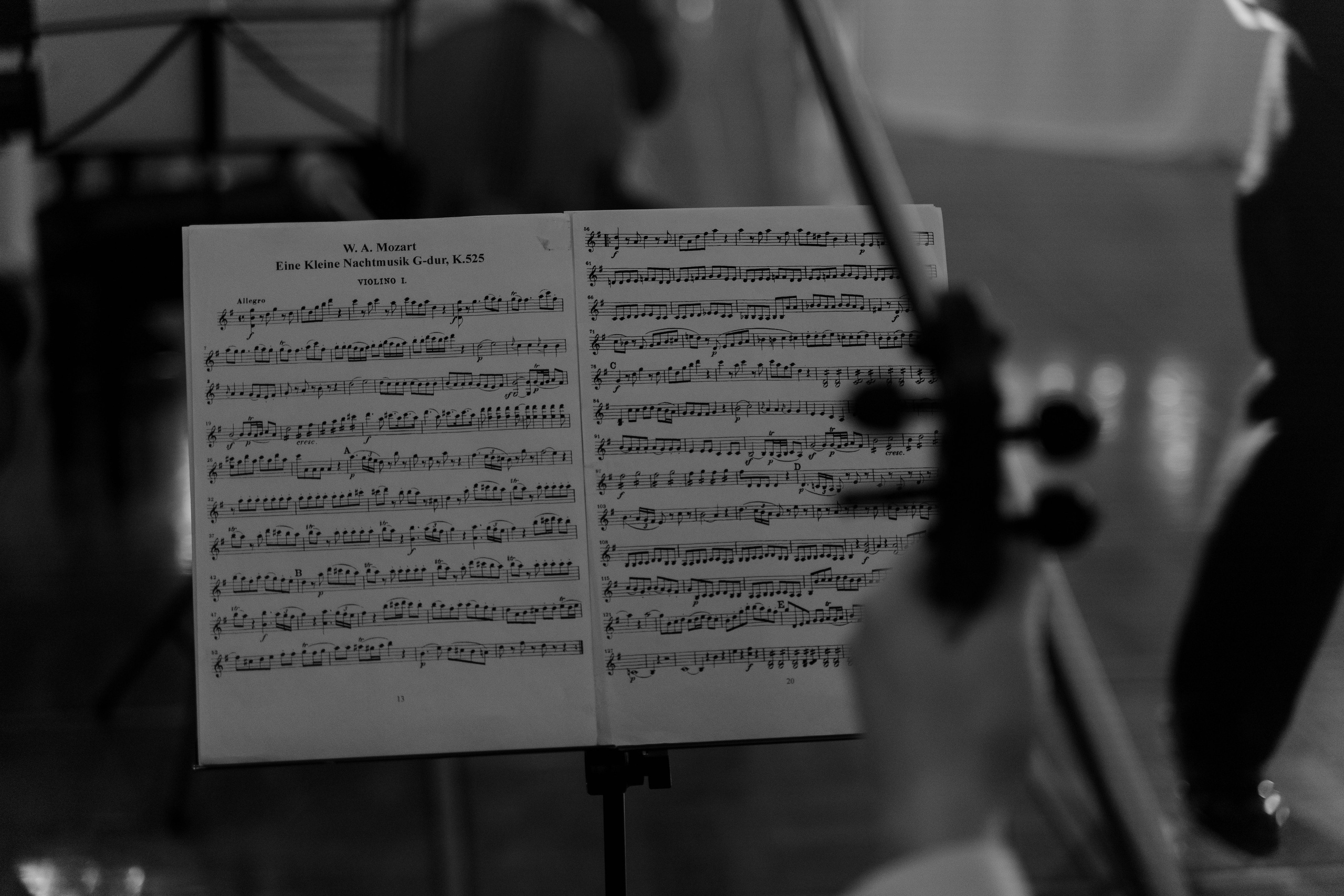 Глеб и Яна. Свадебный и семейный фотограф в Санкт-Петербурге Дмитрий Панин