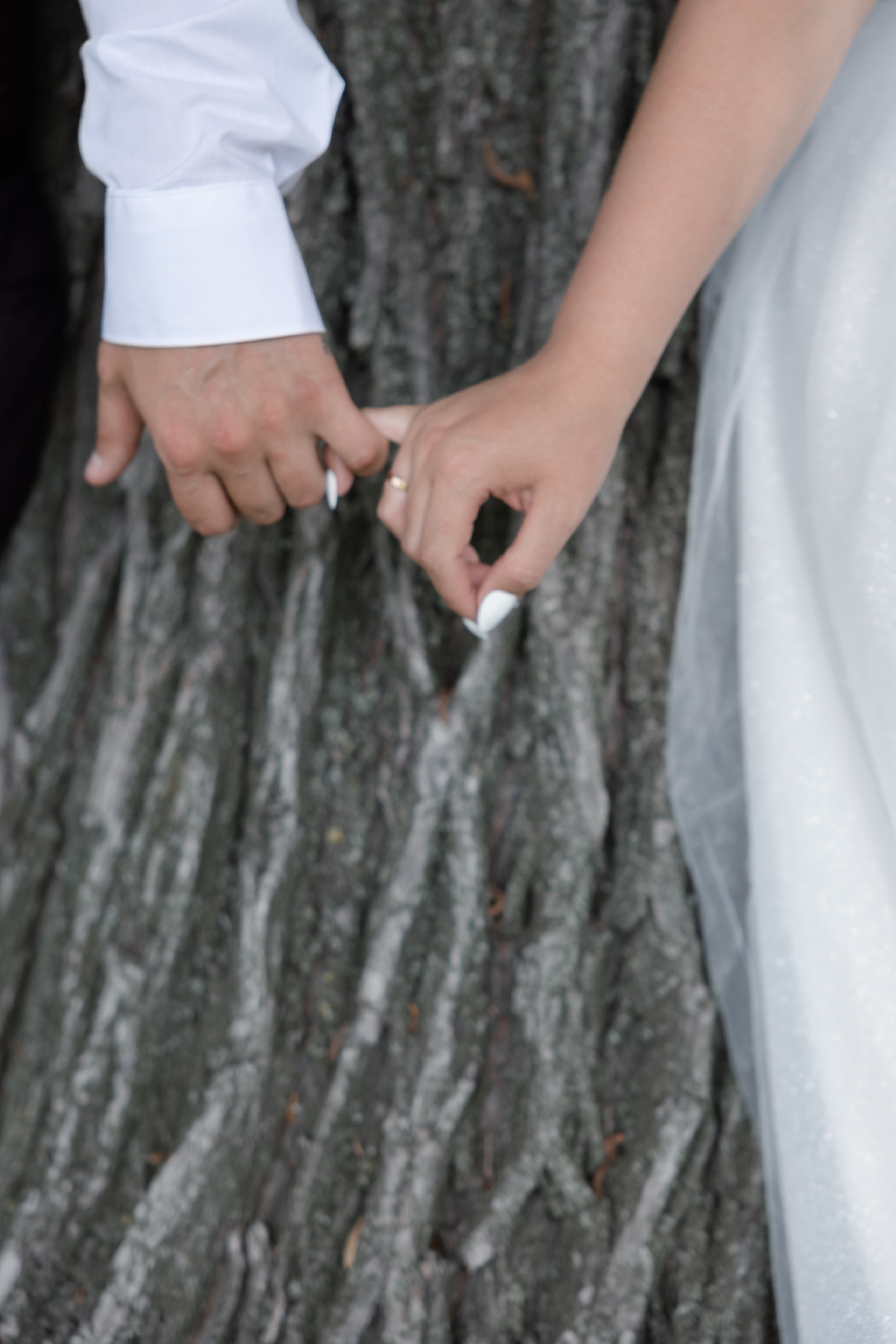 Свадьба Валерии и Дмитрия. Свадебный фотограф в Санкт — Петербурге и Ленинградской о