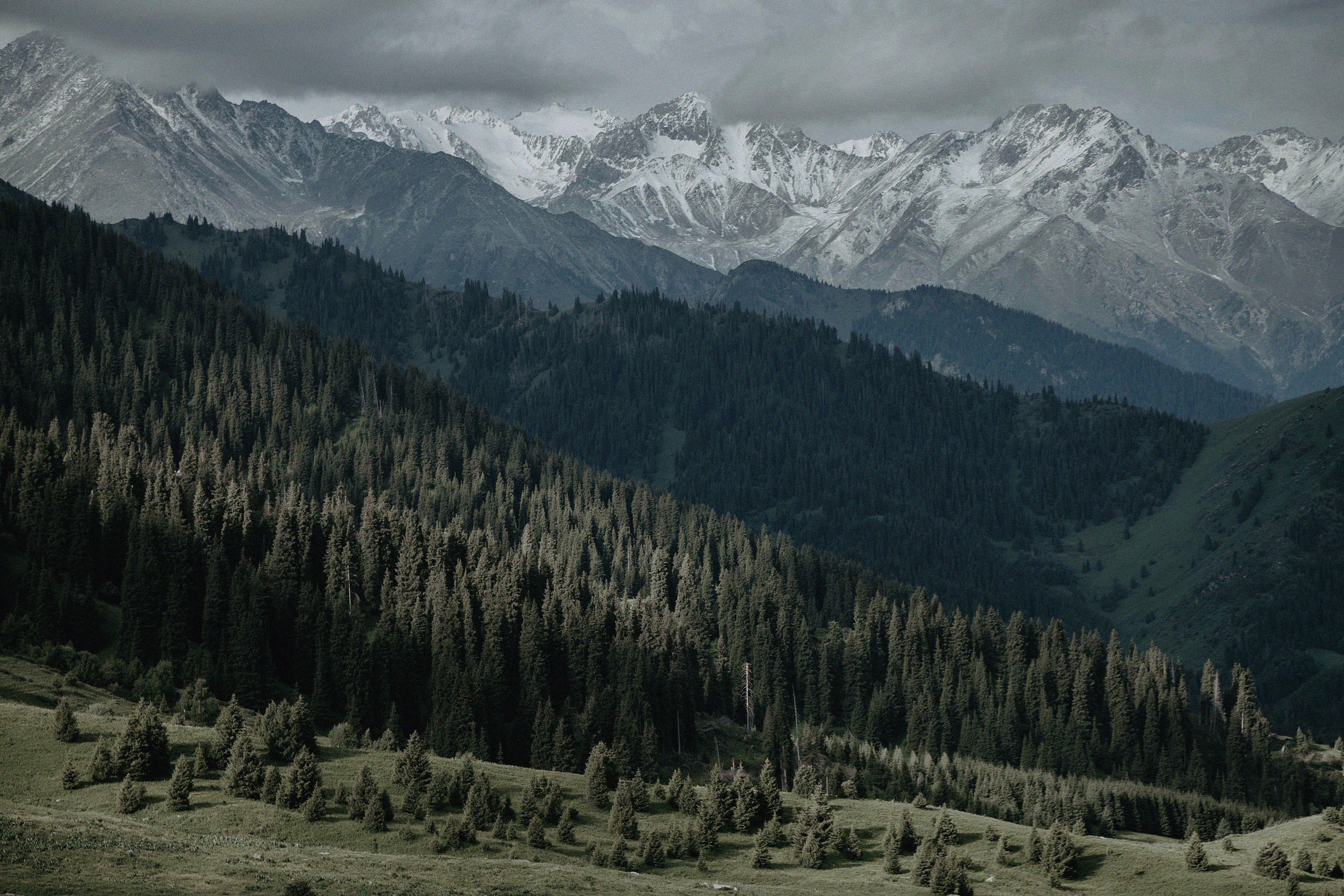 Свадебный, семейный и портретный фотограф в Алматы, Костанай