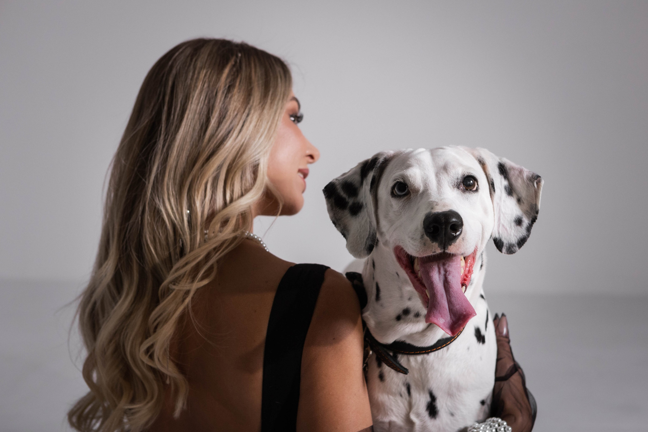 Индивидуальная съёмка. Свадебный и семейный фотограф Марта Сбродова