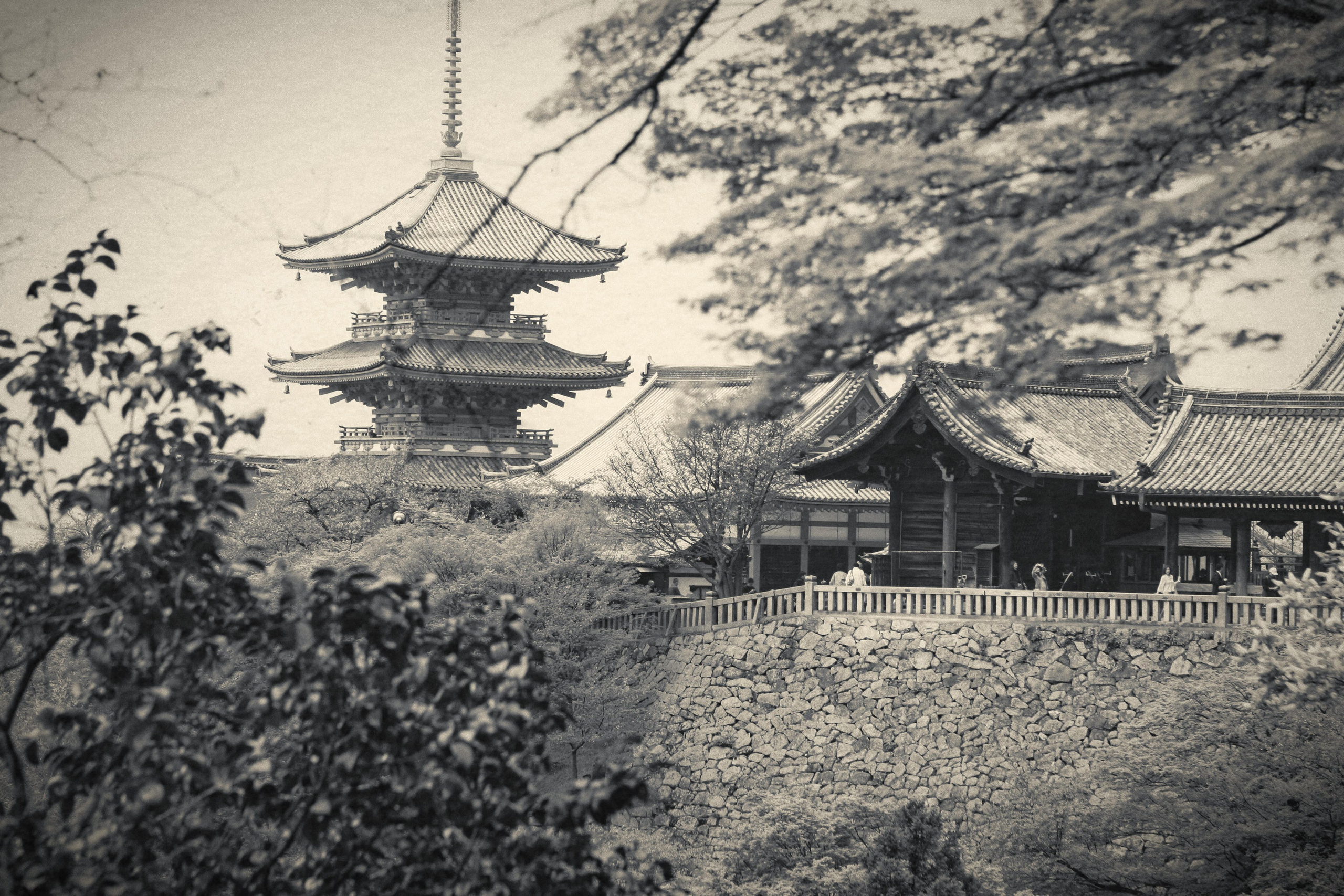 Япония. Фотография, ретушь, сканирование, восстановление старых фото, интерьерная съёмка, студия. Данилов Александр, Москва