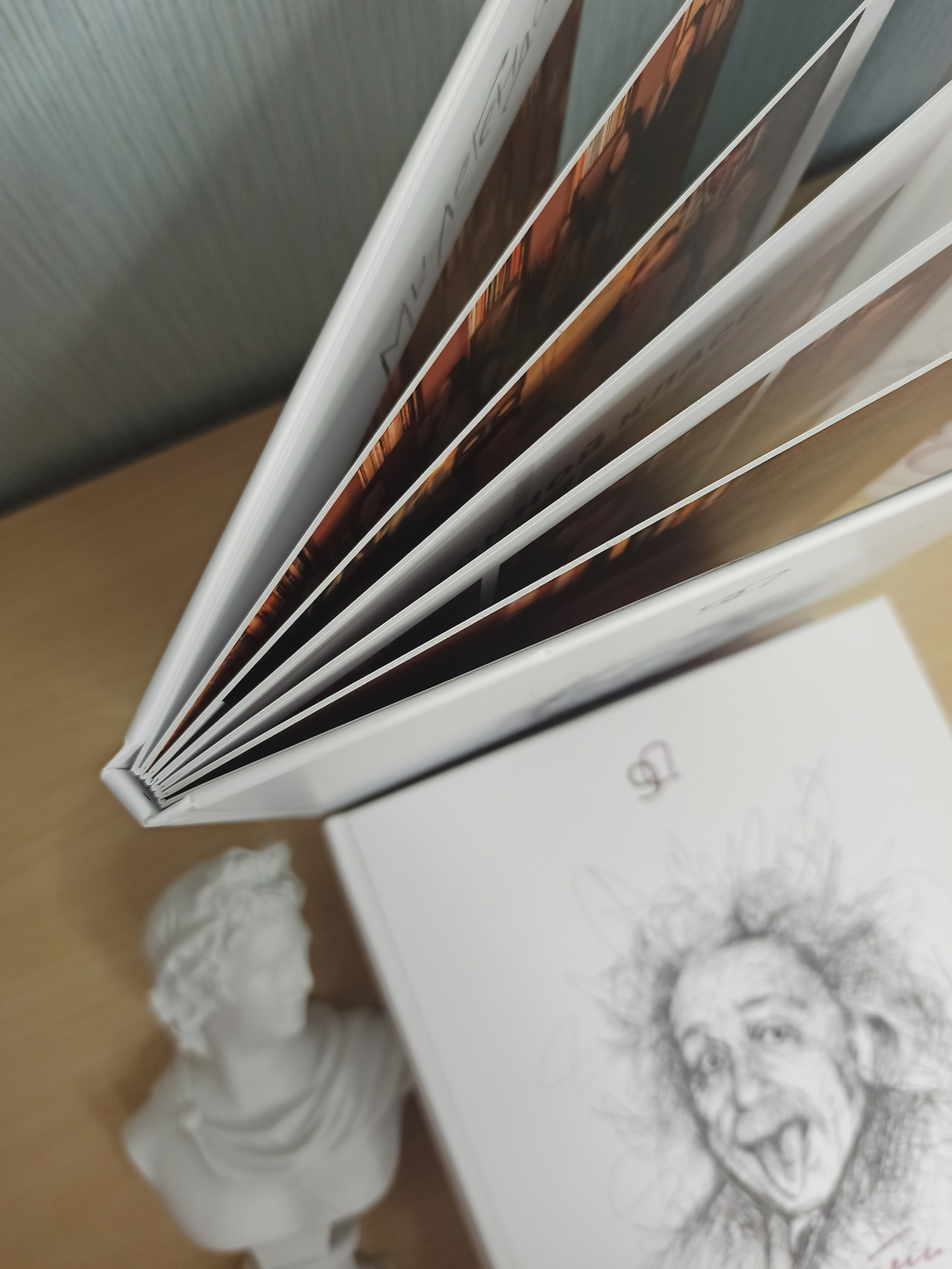 Выпускные альбомы Старый Оскол. Стильные выпускные альбомы в Старом Осколе. Свадебные фотокниги