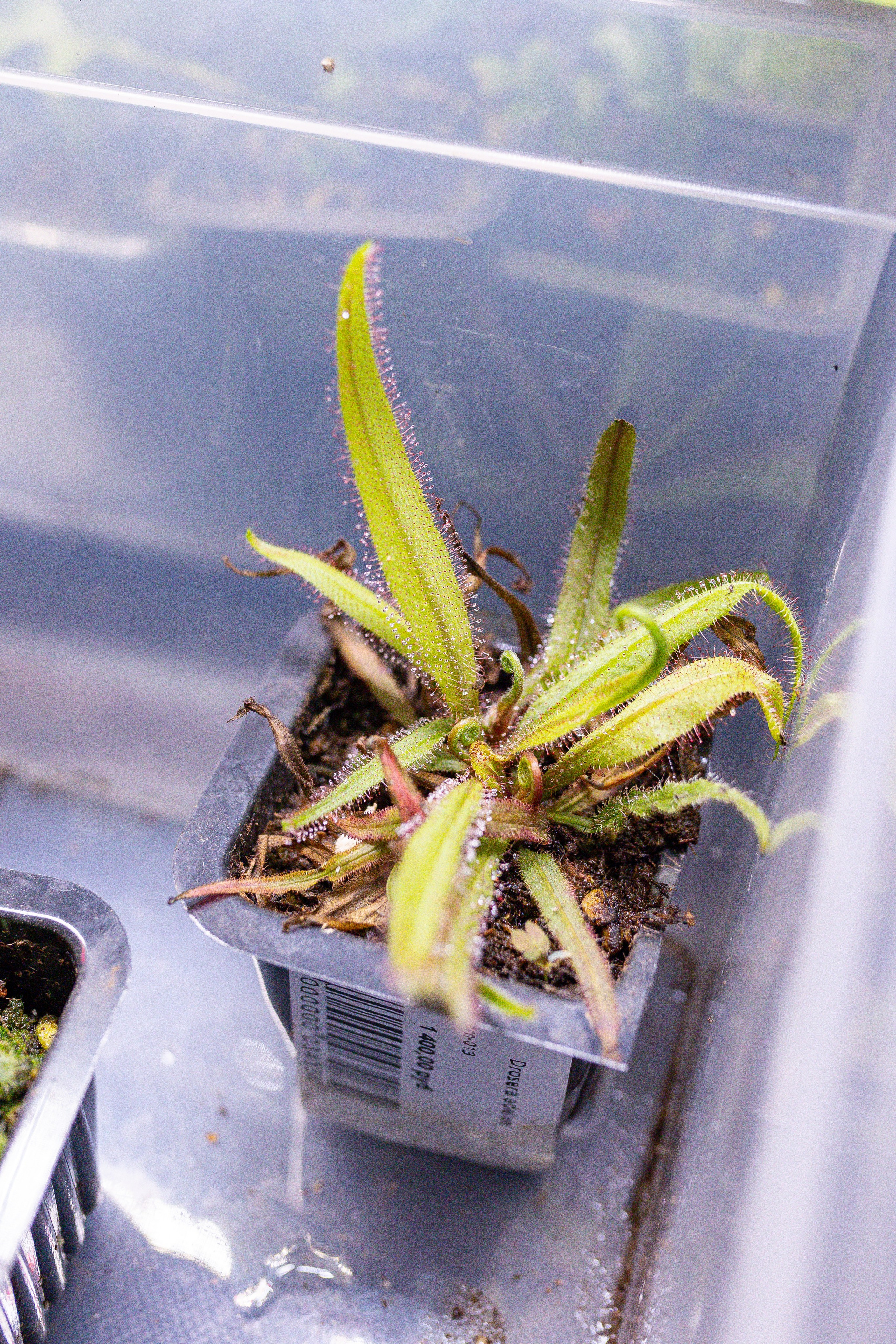 Монстериум 11–12 октября. Александра Куликова фотограф, Москва