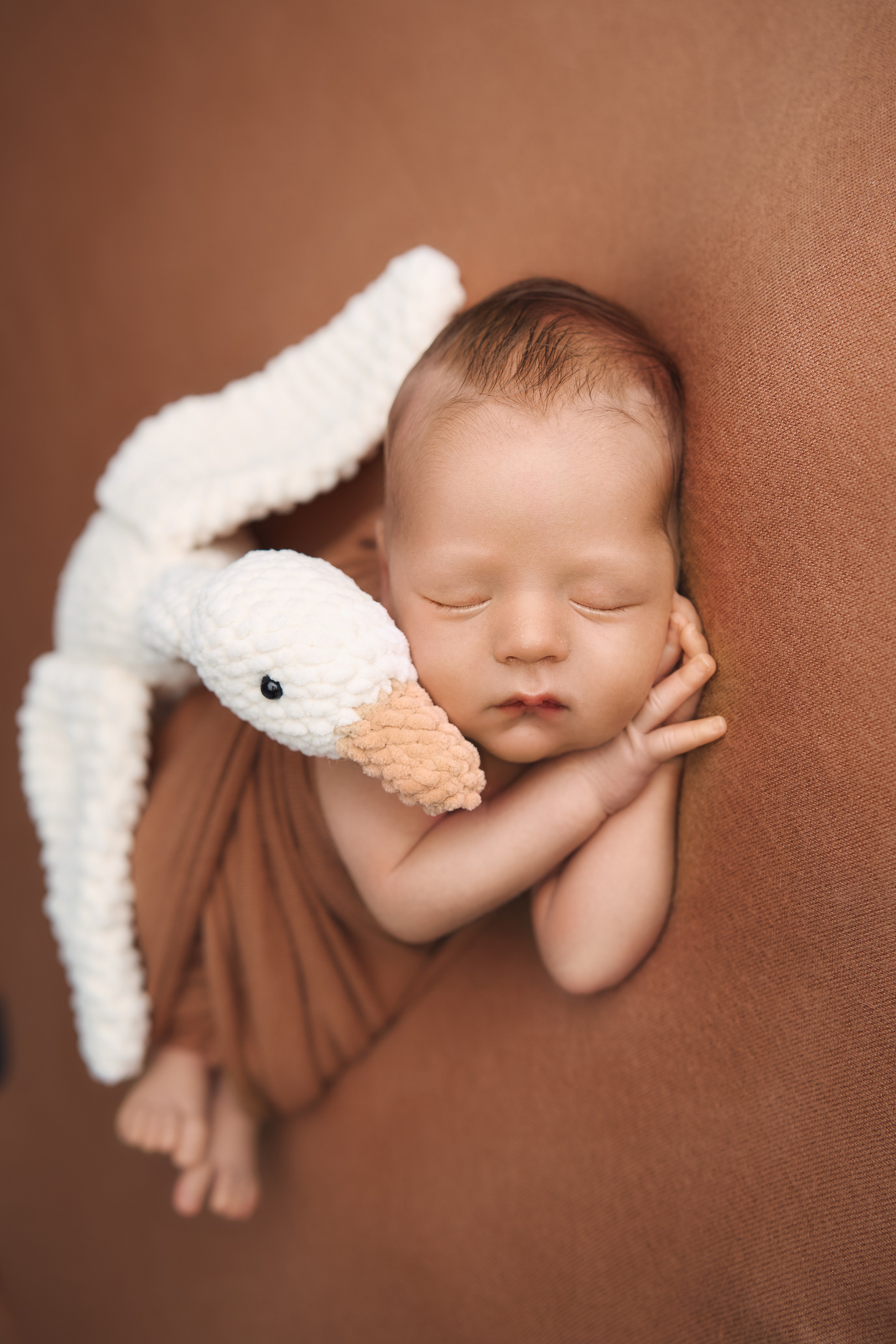 Роман. Фотограф новорожденных во Владивостоке Ромашко Виктория