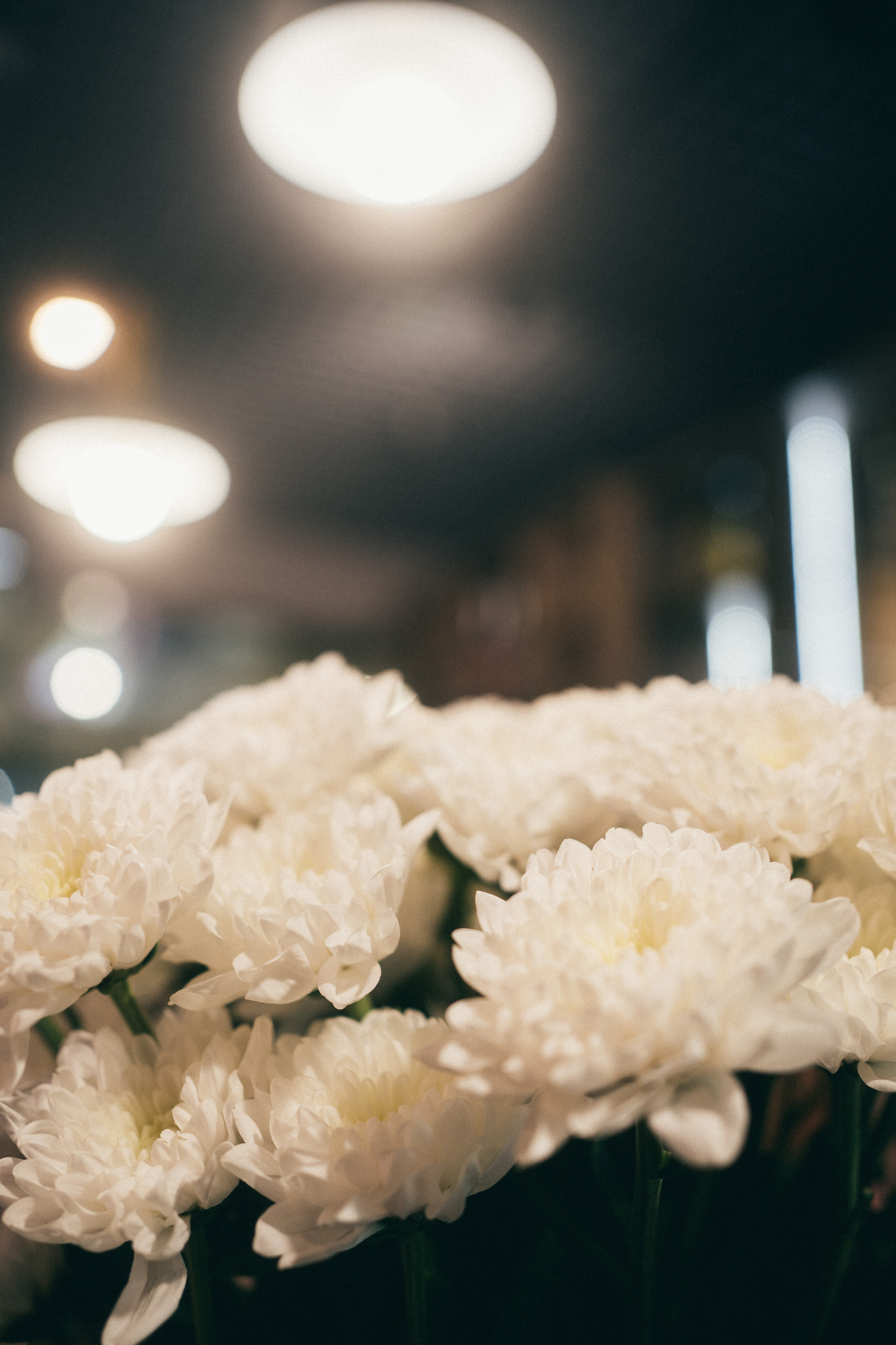 Открытие Винотеки БонВин. Фотограф на любое событие в Кемерово