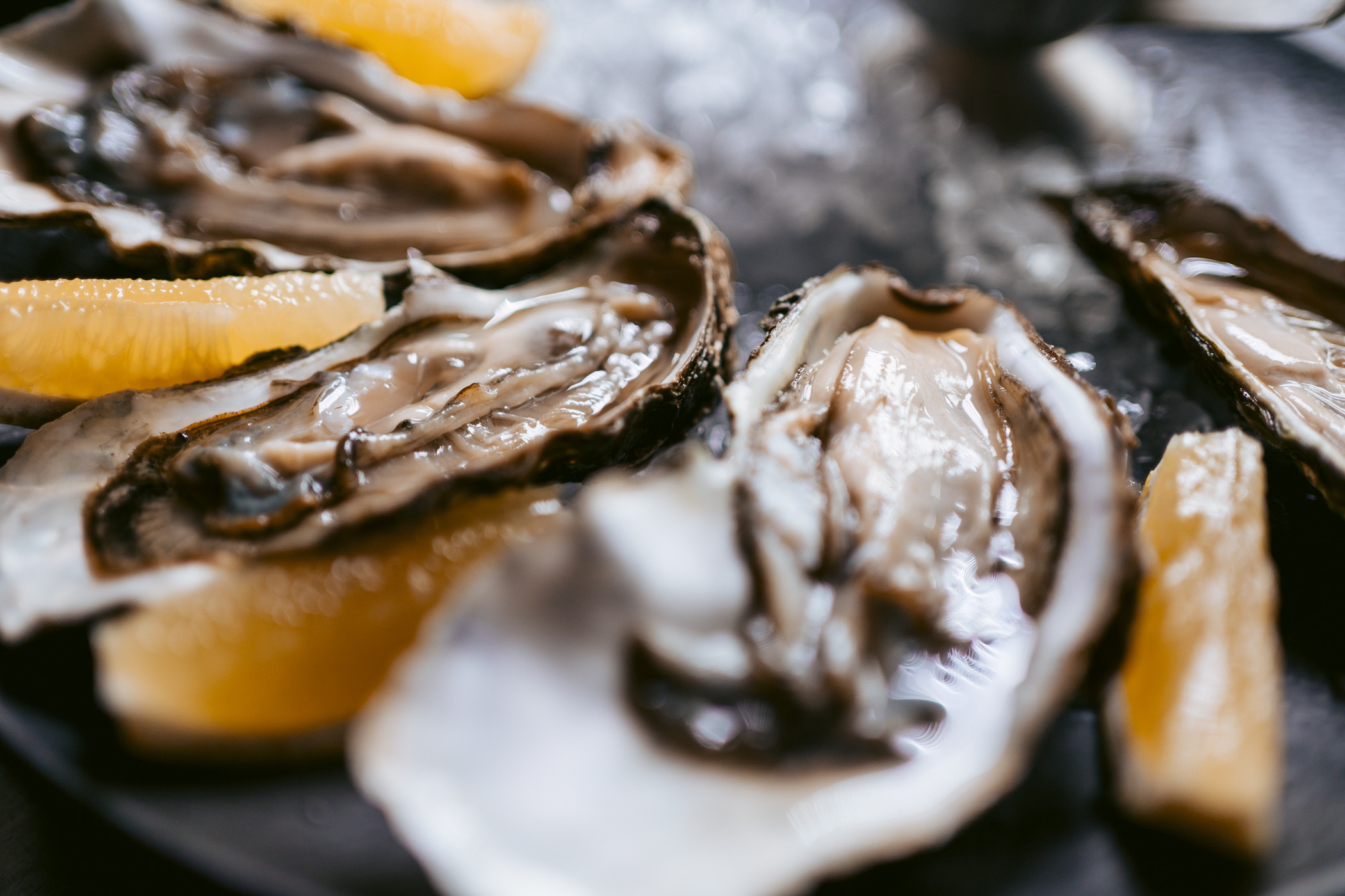 Port42 (23.06.23). Фотограф на любое событие в Кемерово