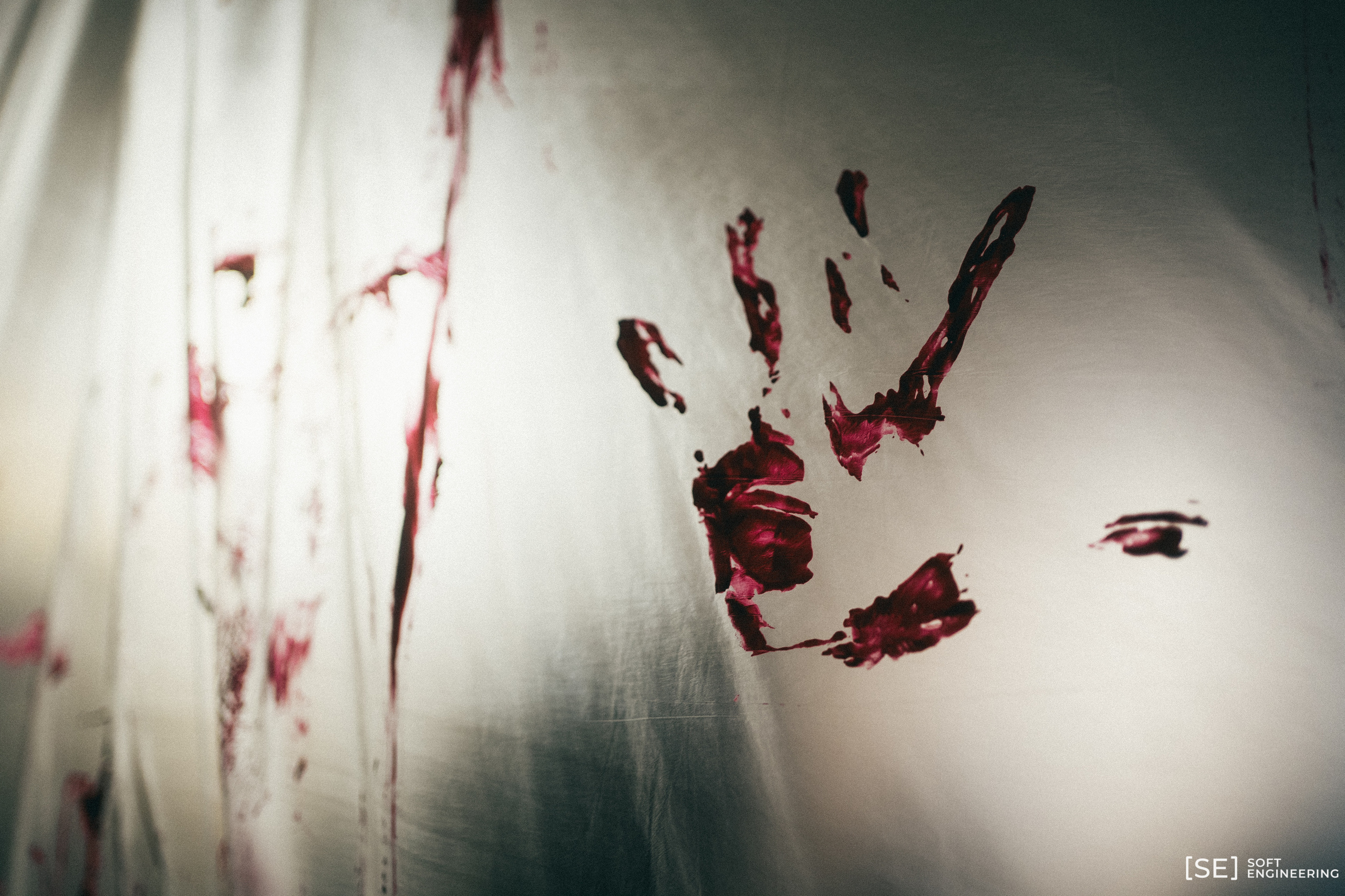 День Программиста Софт Инжиниринг 2023. Фотограф на любое событие в Кемерово