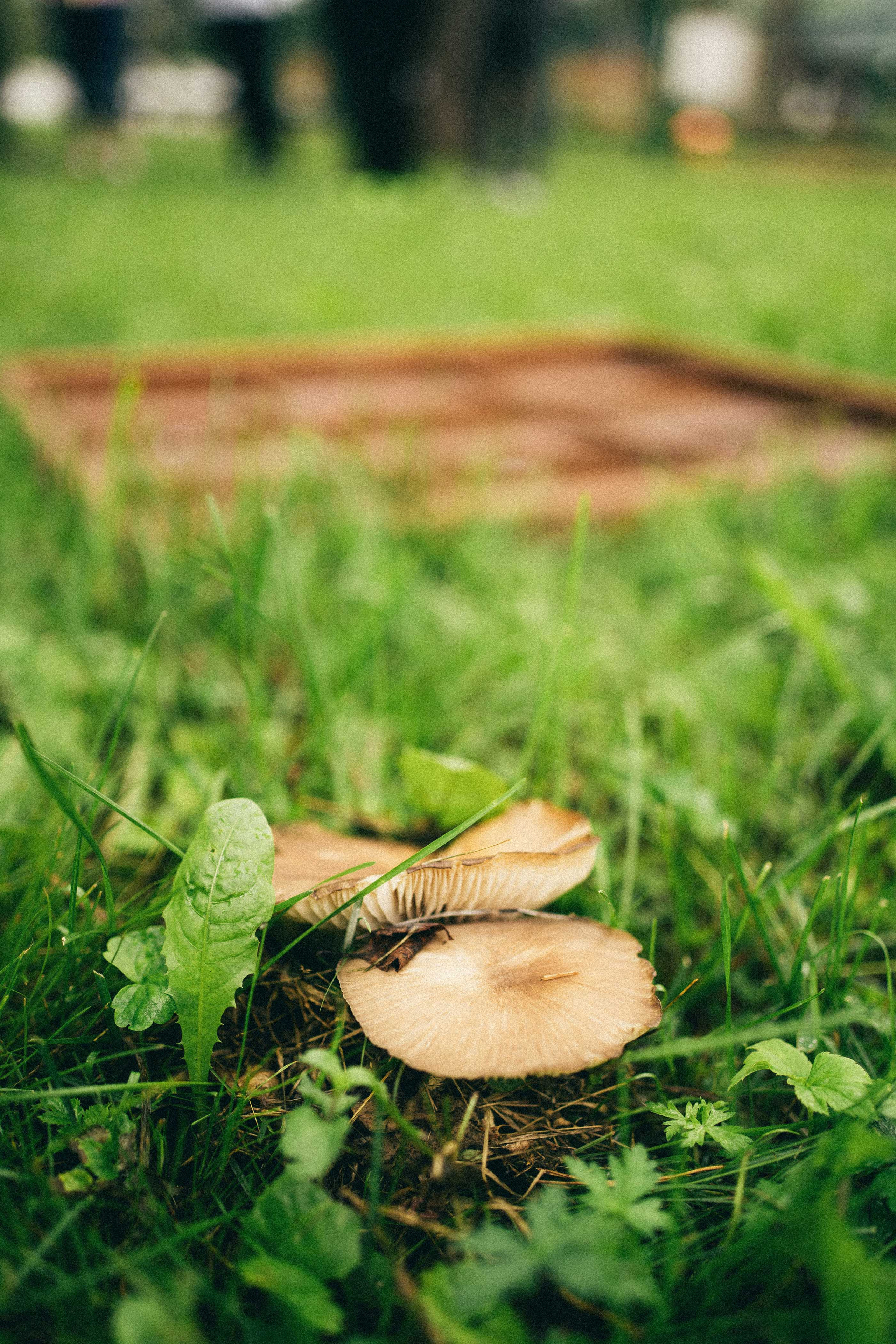 Корпоратив Мария-Ра. Фотограф на любое событие в Кемерово